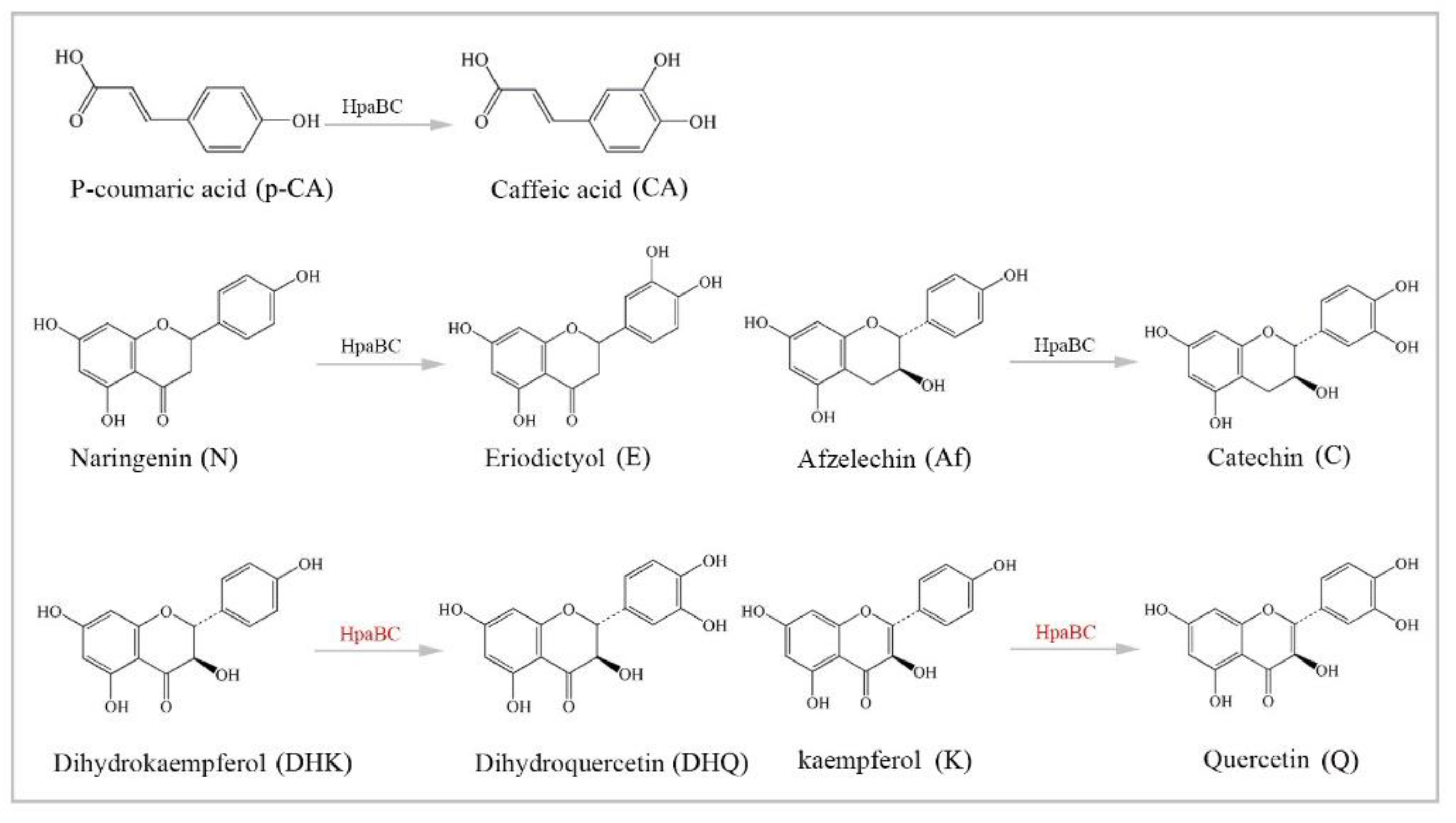 Molecules 26 02919 g007