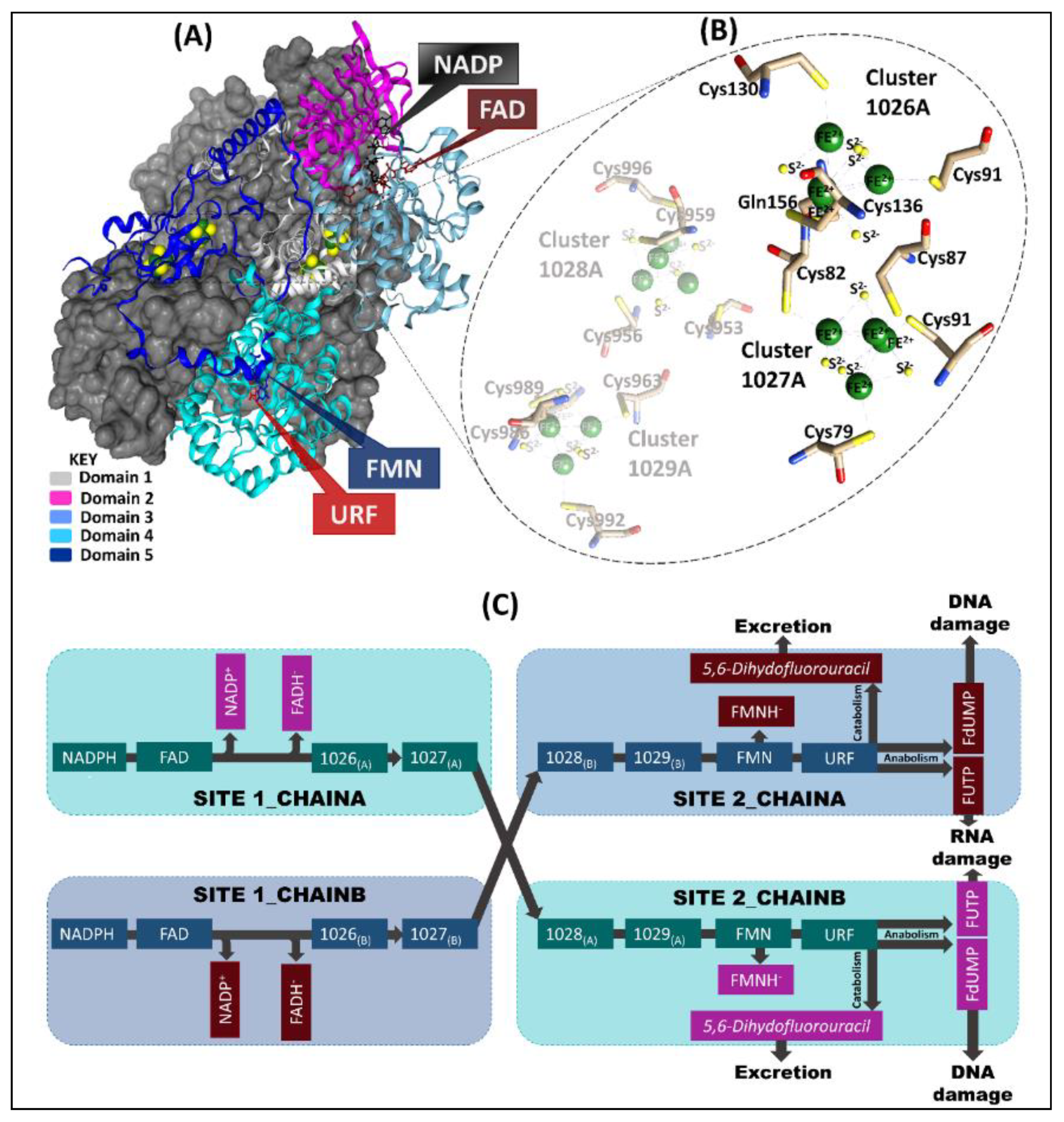 Molecules 26 02929 g001