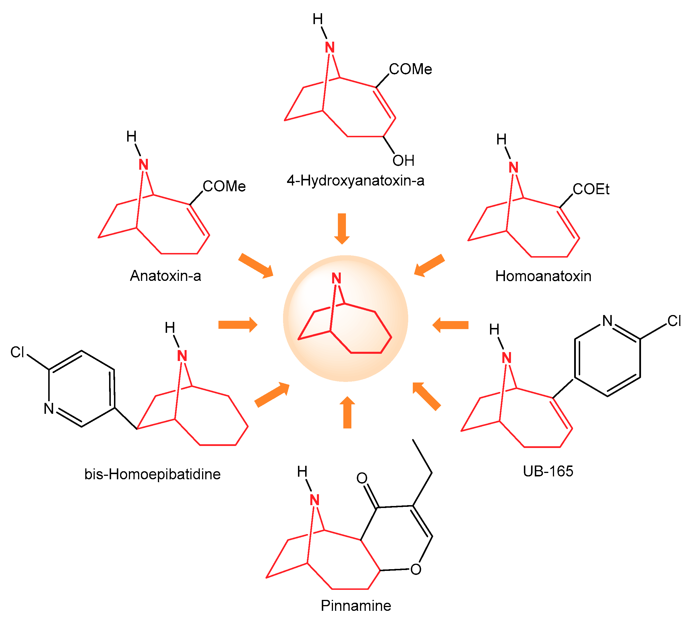 Molecules 26 02932 g001 Molecules 26 02932 g001