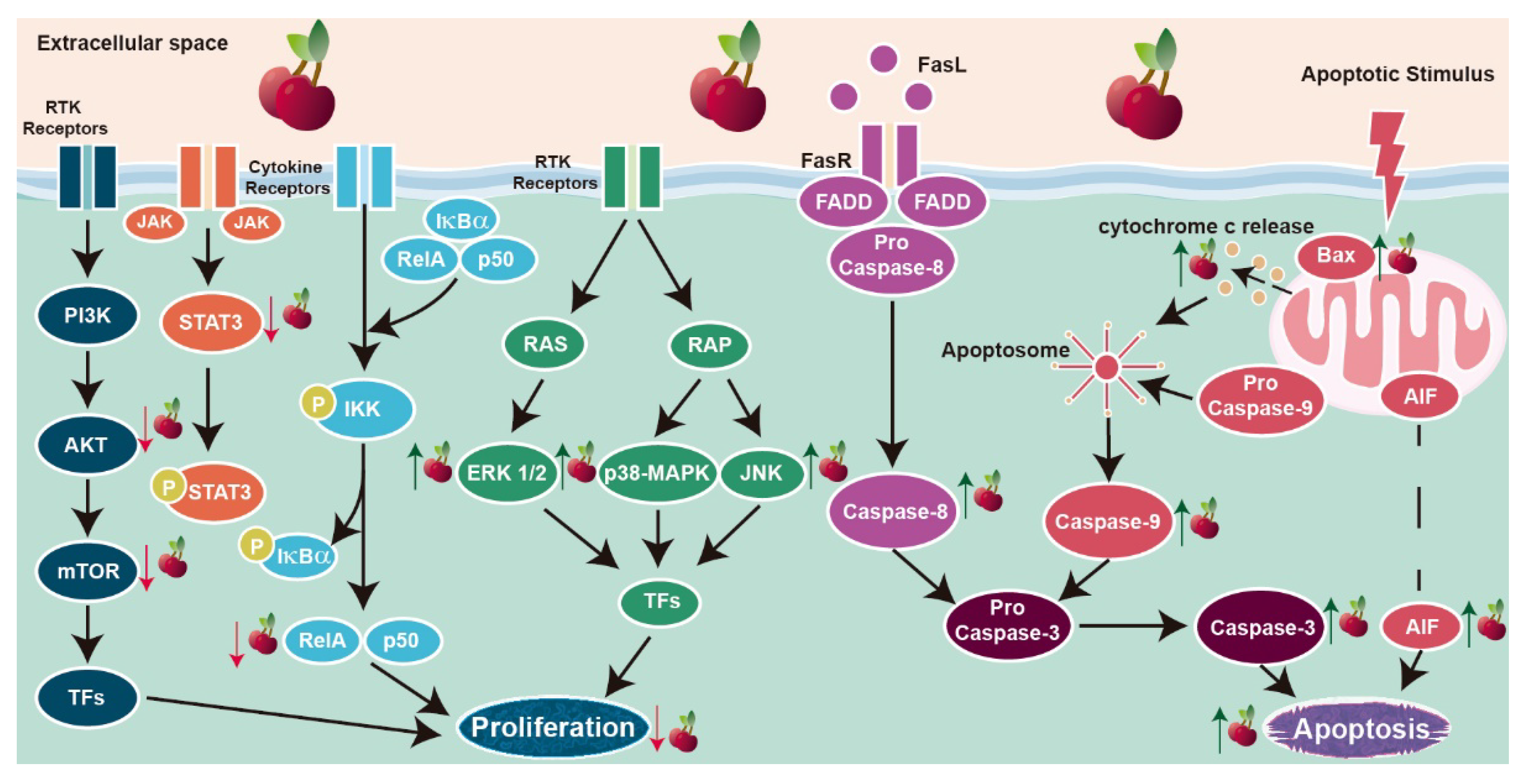 Molecules 26 02941 g002