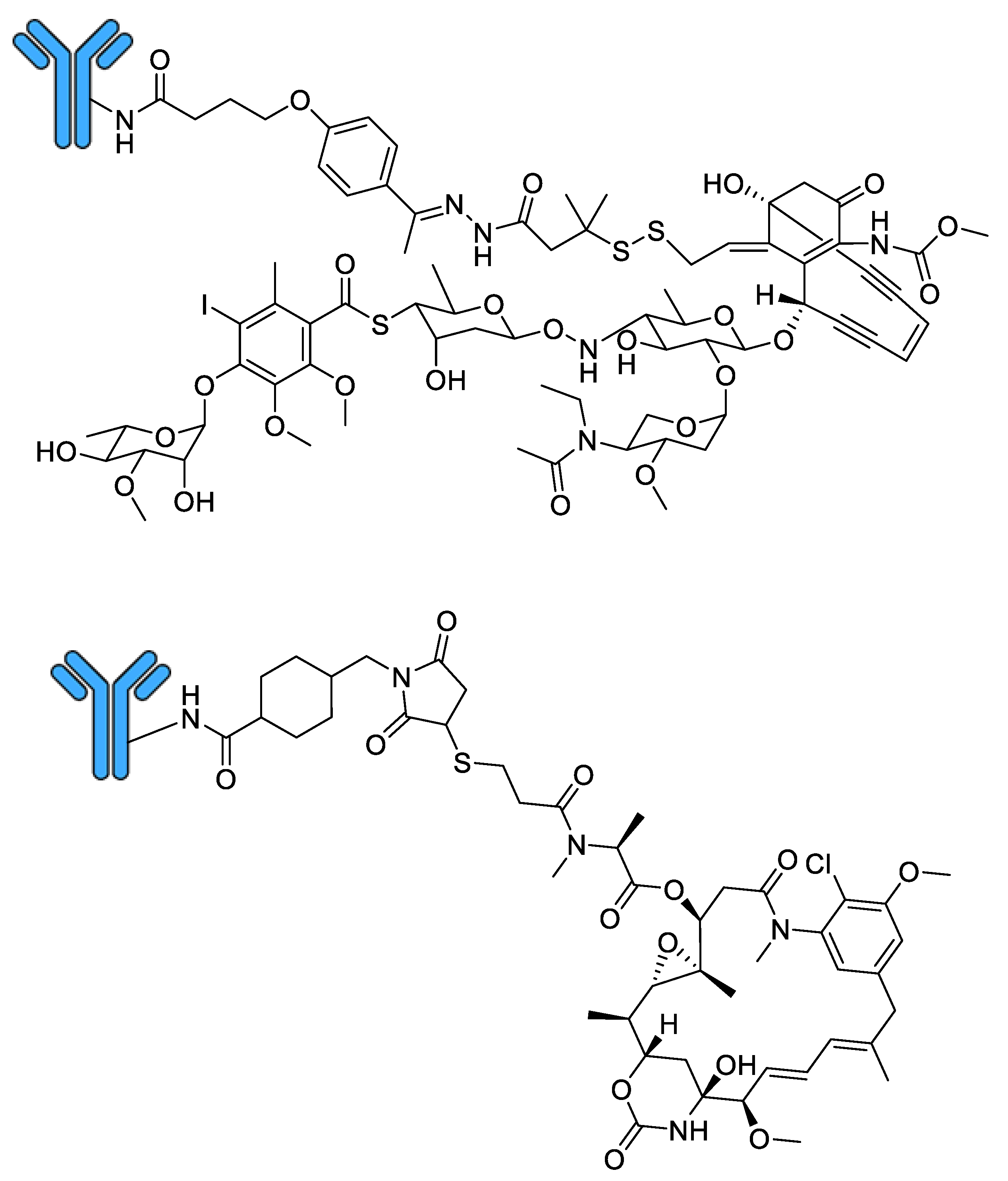 Molecules 26 02943 g005