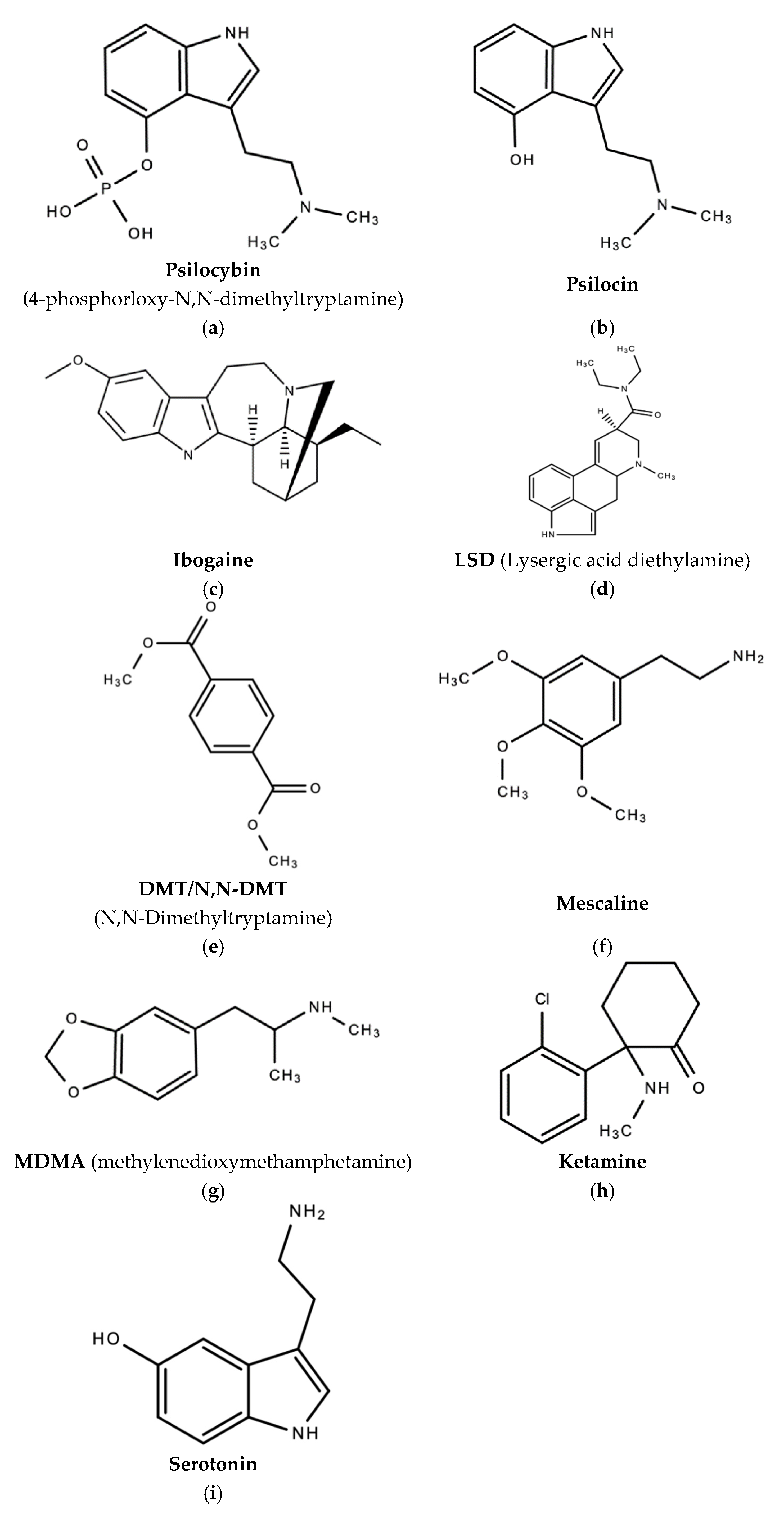 Molecules 26 02948 g001