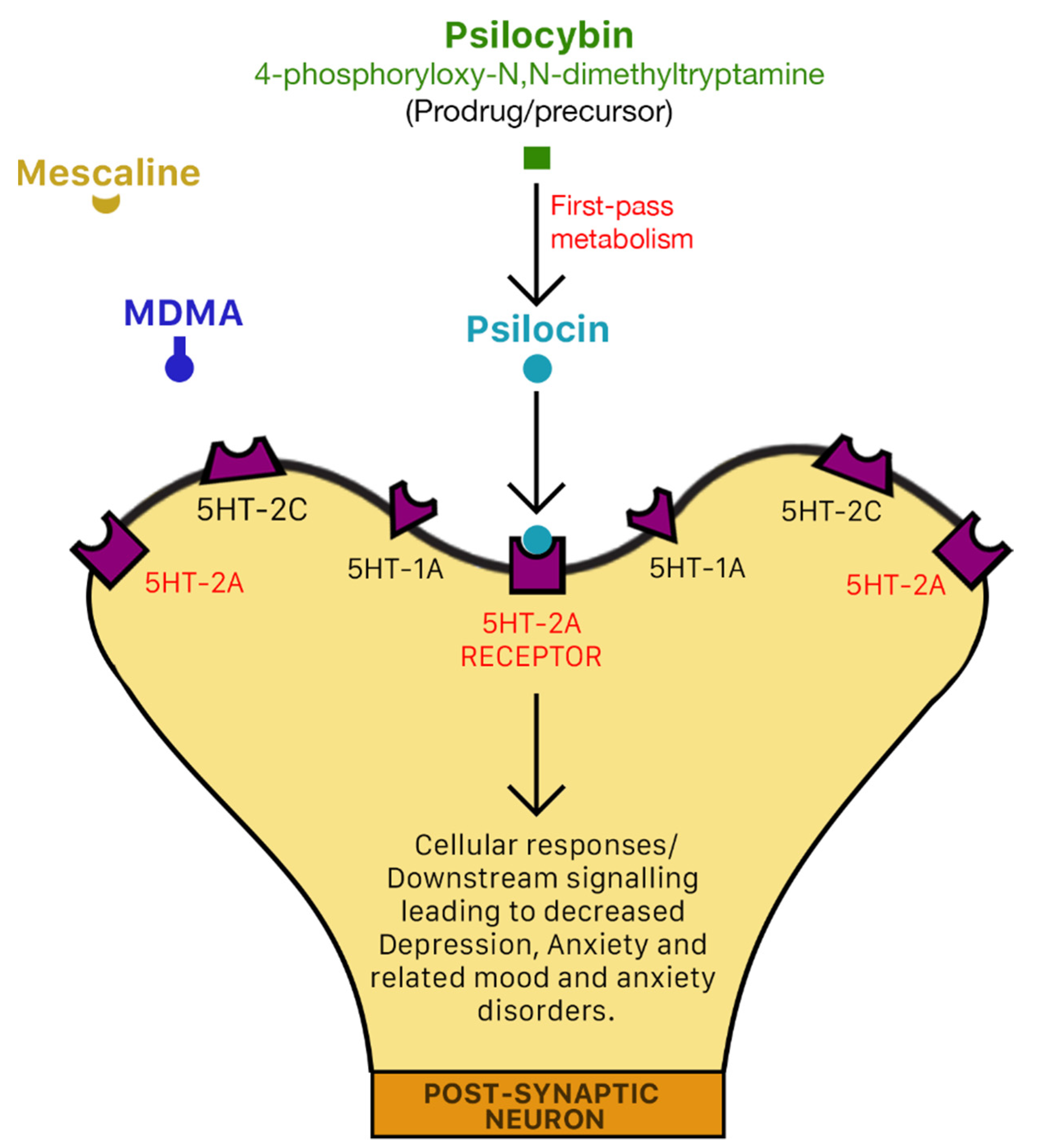 Molecules 26 02948 g005