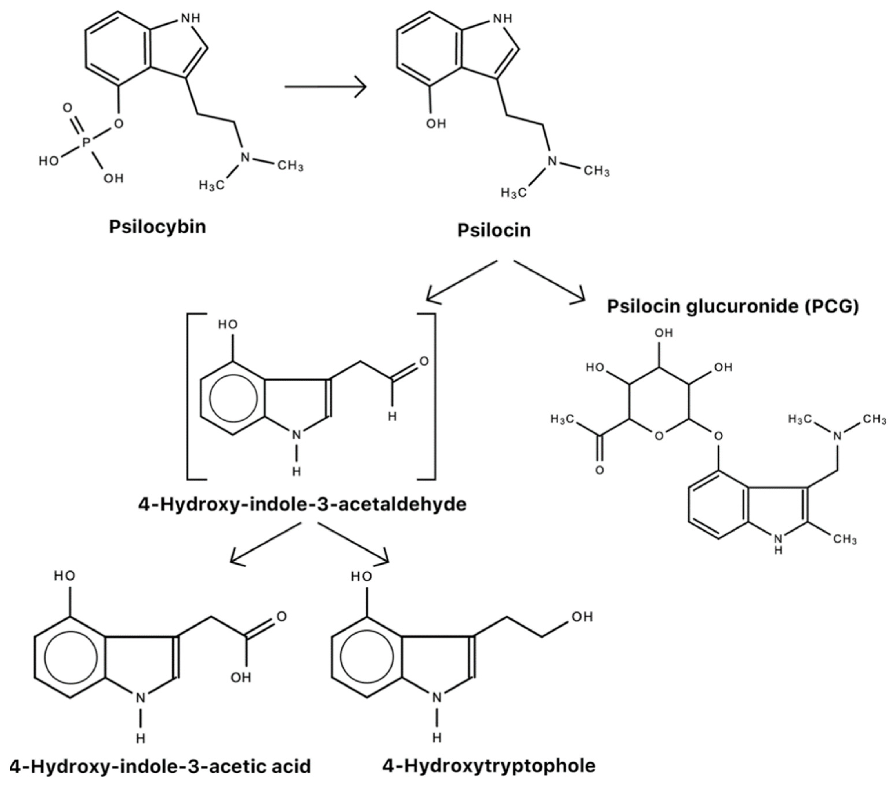 Molecules 26 02948 g007