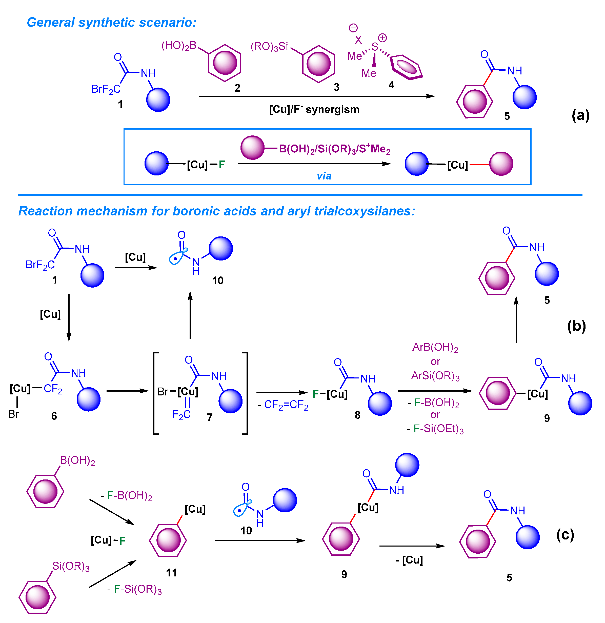 Molecules 26 02957 sch001