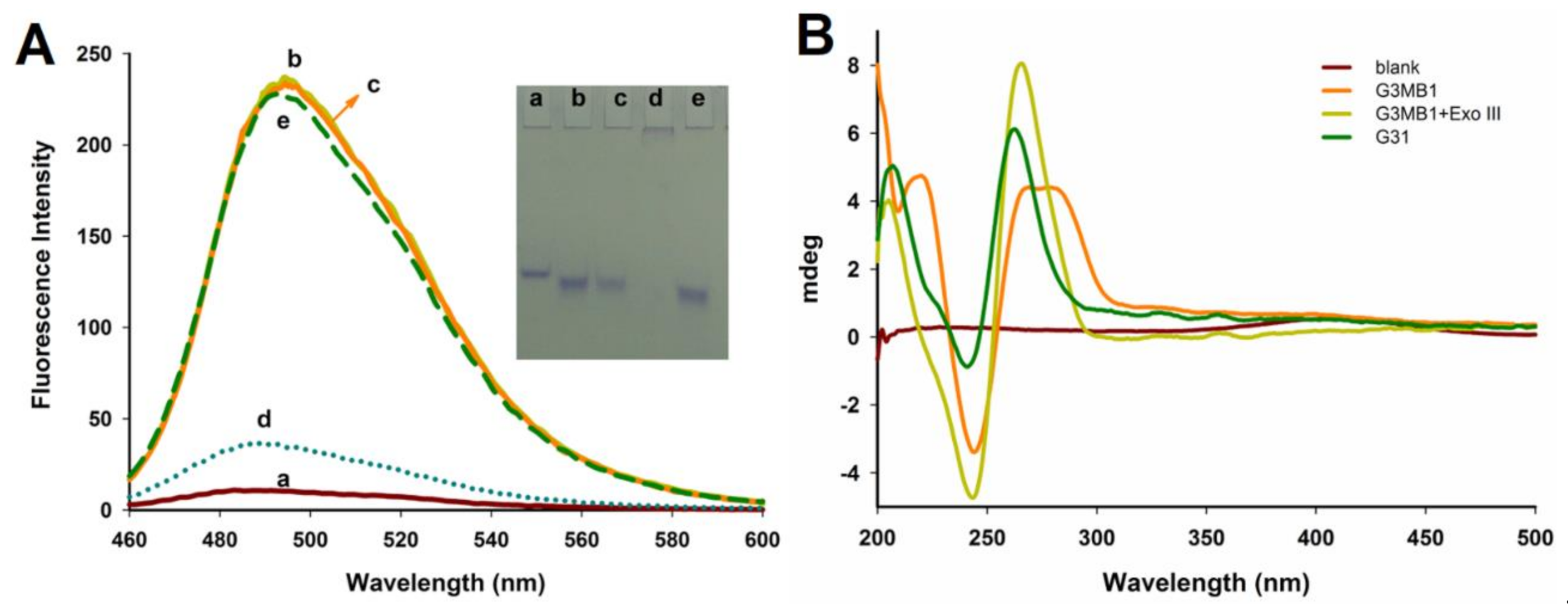 Molecules 26 02962 g001