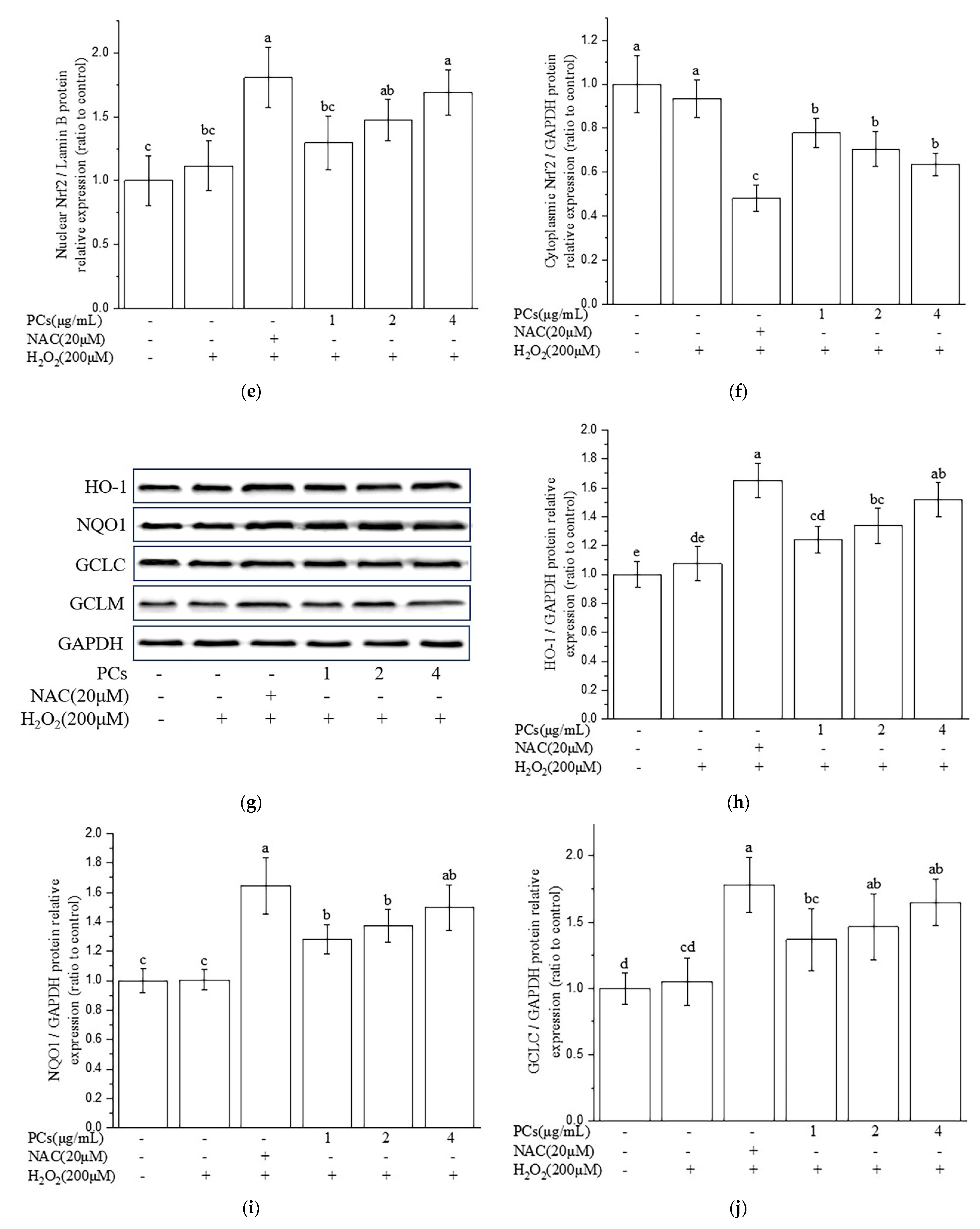 Molecules 26 02963 g003b