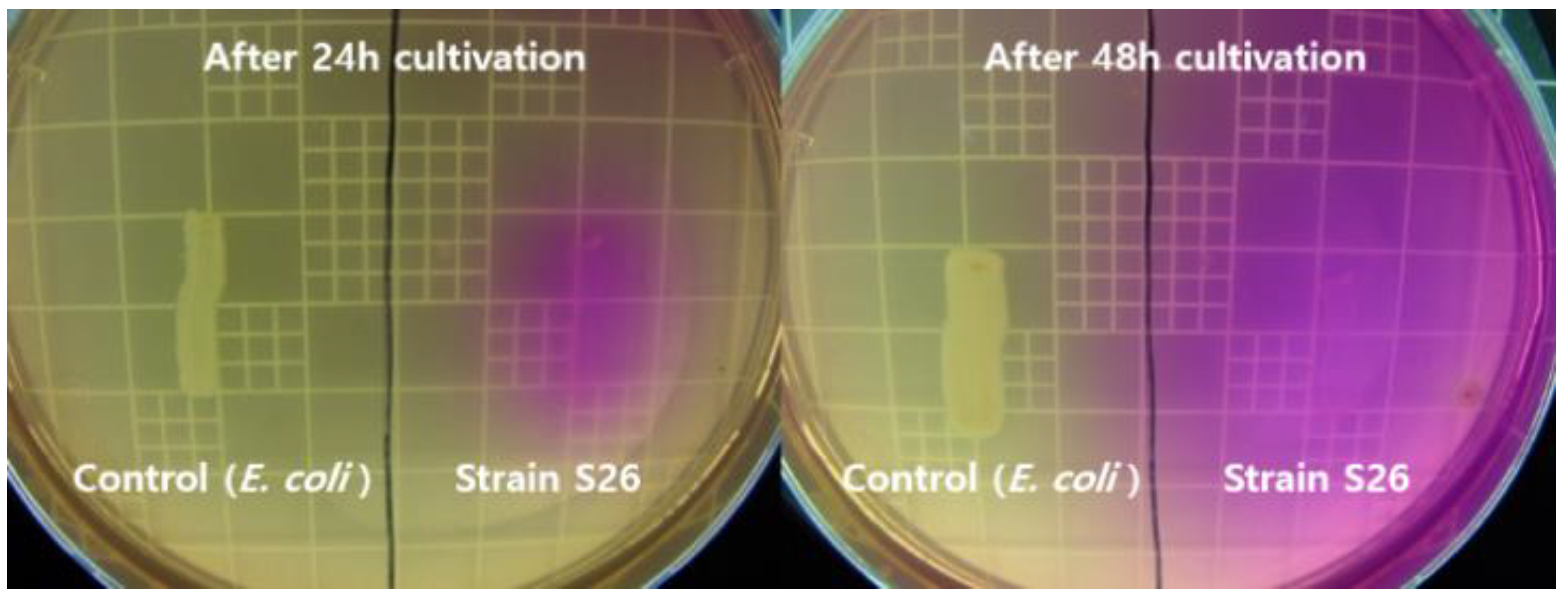 Molecules 26 02967 g001