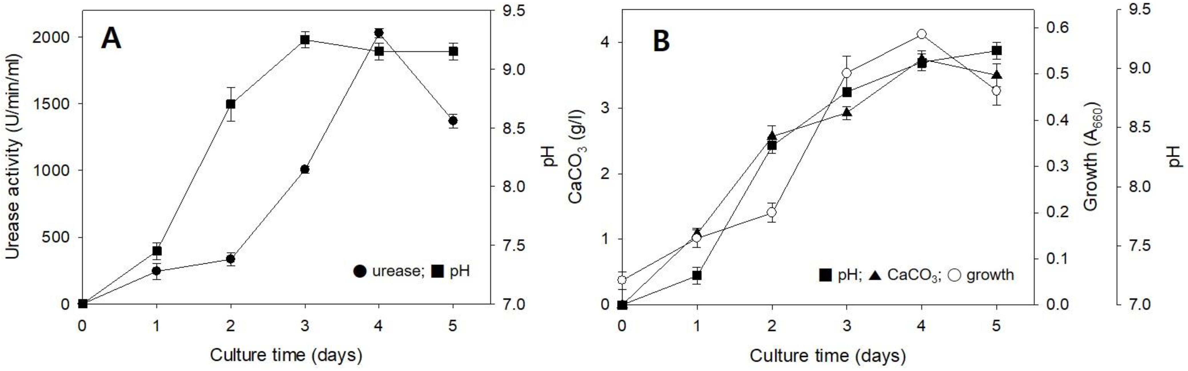 Molecules 26 02967 g002