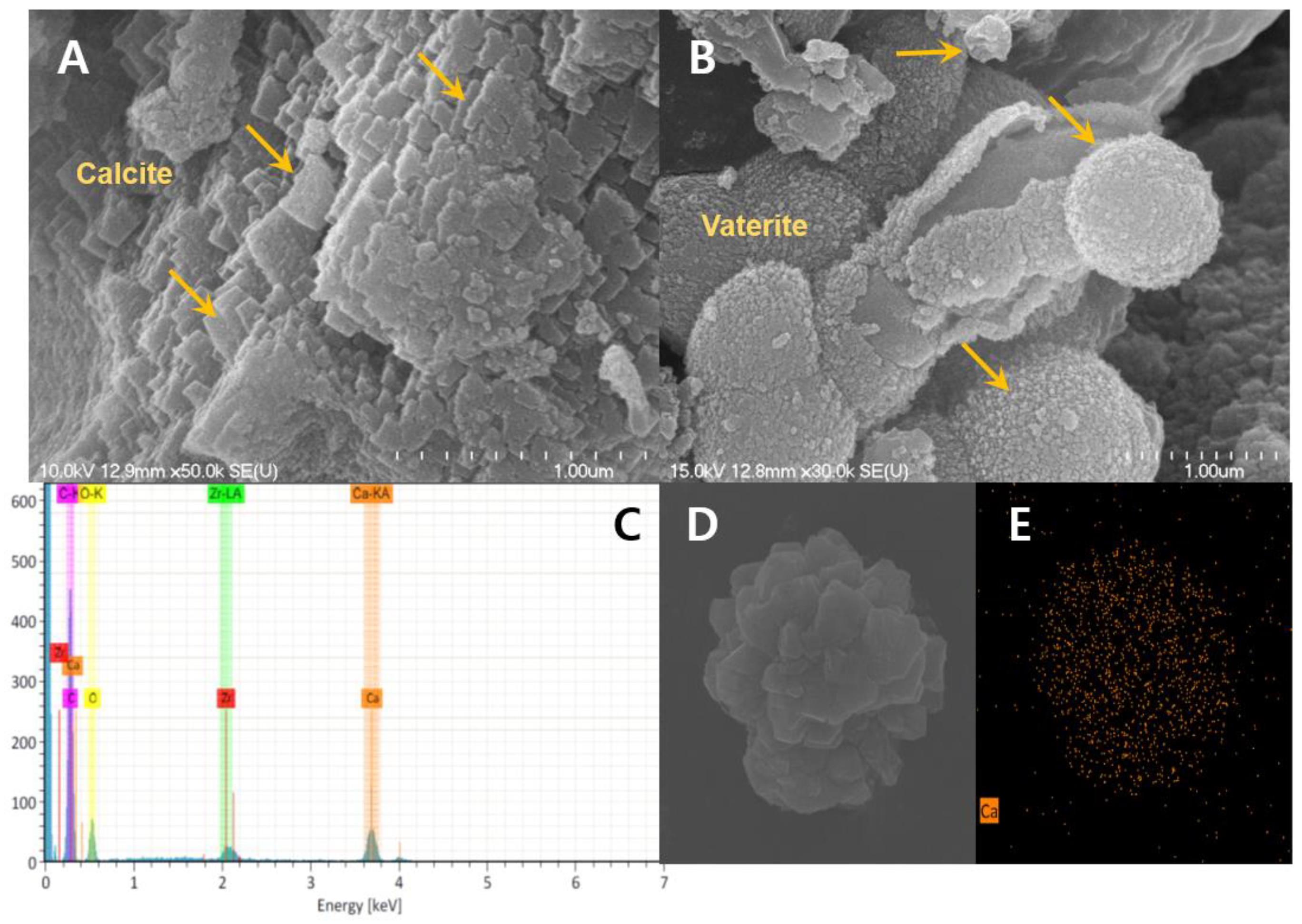 Molecules 26 02967 g006