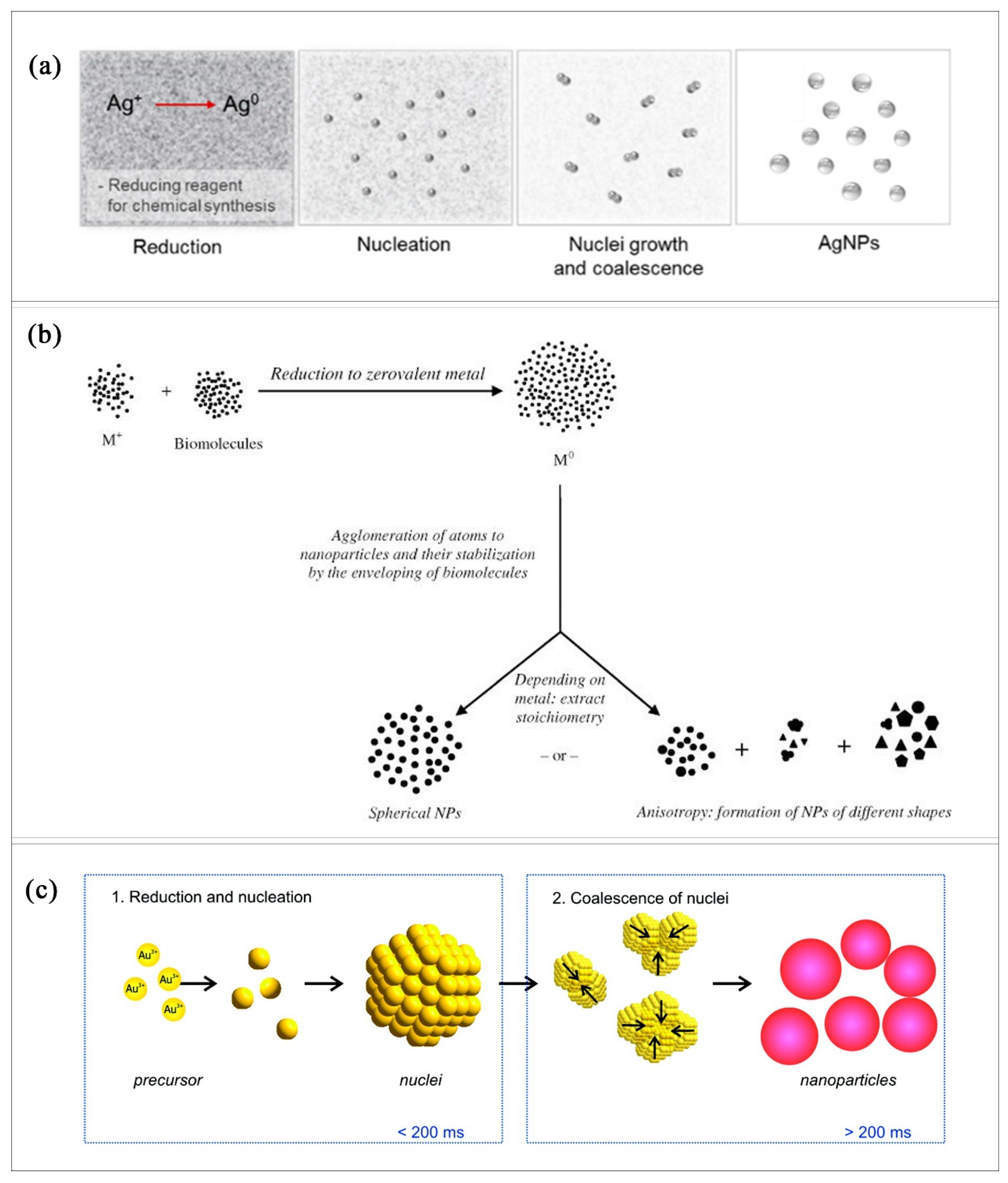 Molecules 26 02968 g003