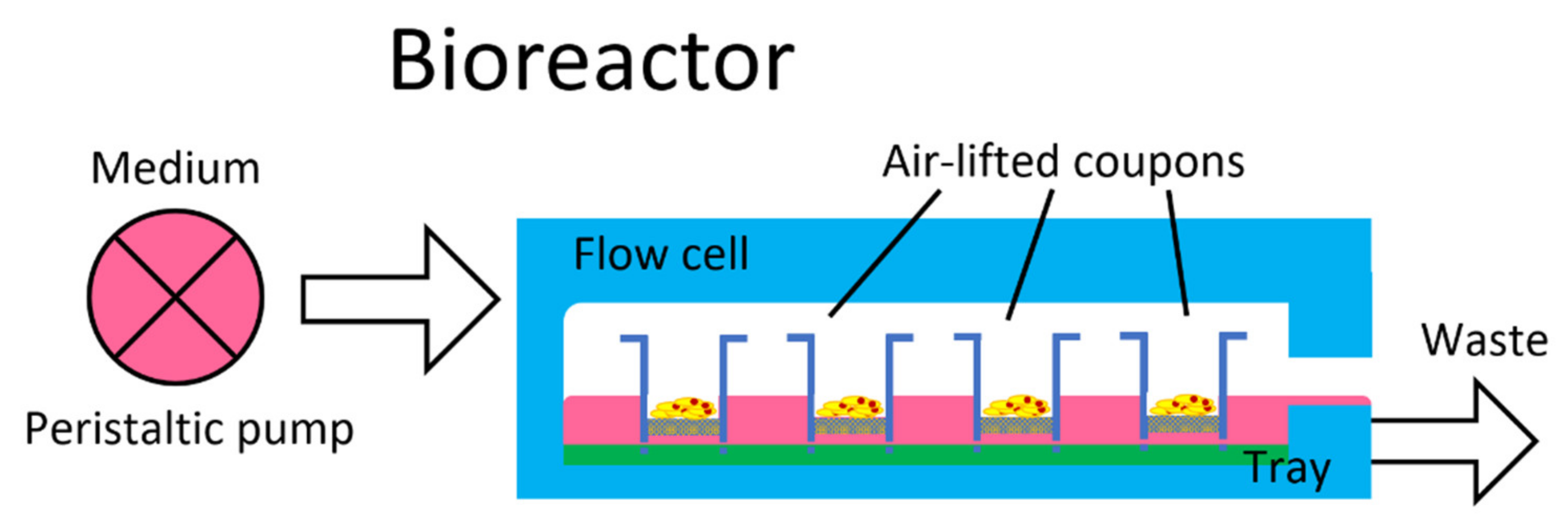 Molecules 26 02976 g001
