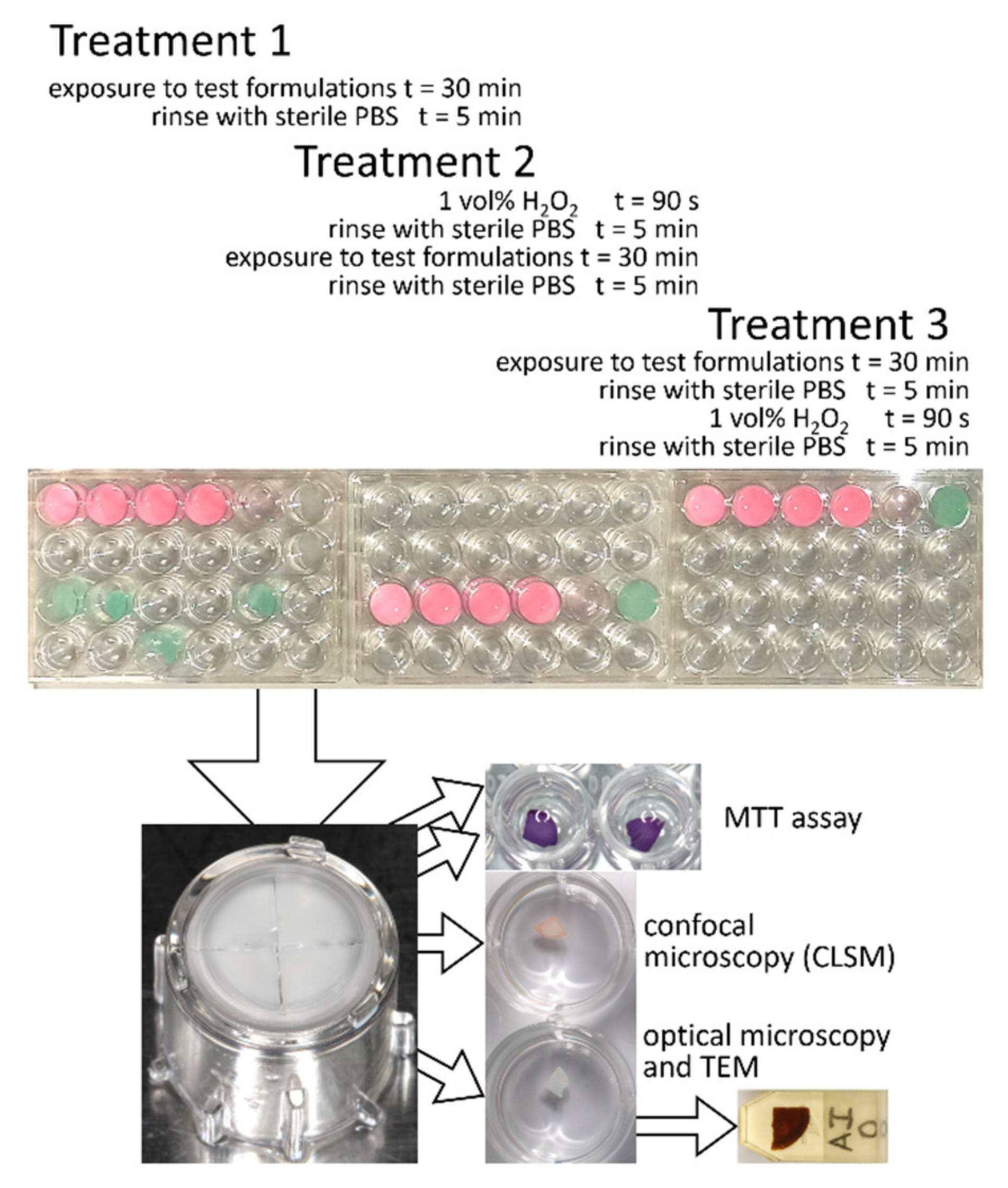Molecules 26 02976 g002