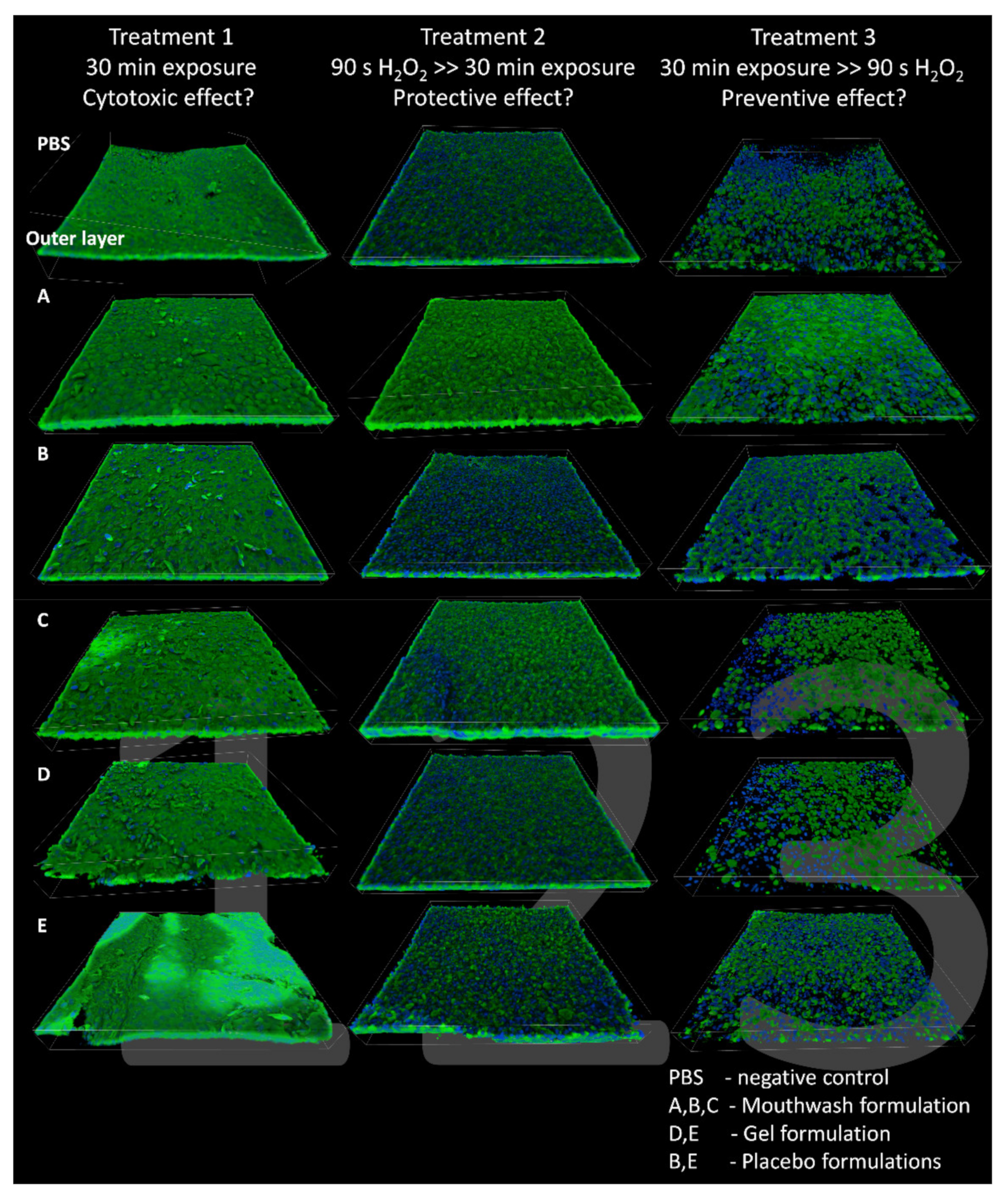 Molecules 26 02976 g004