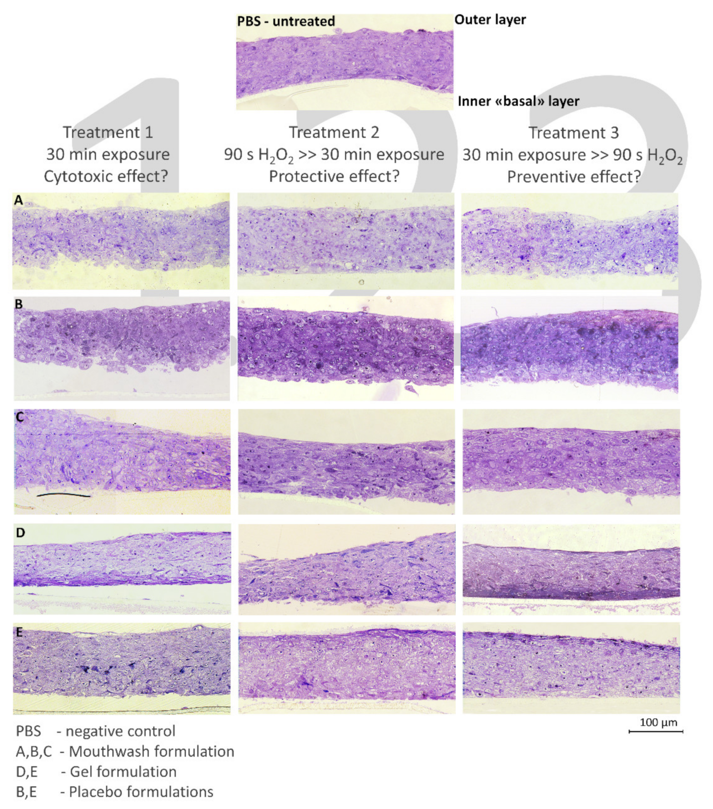 Molecules 26 02976 g005
