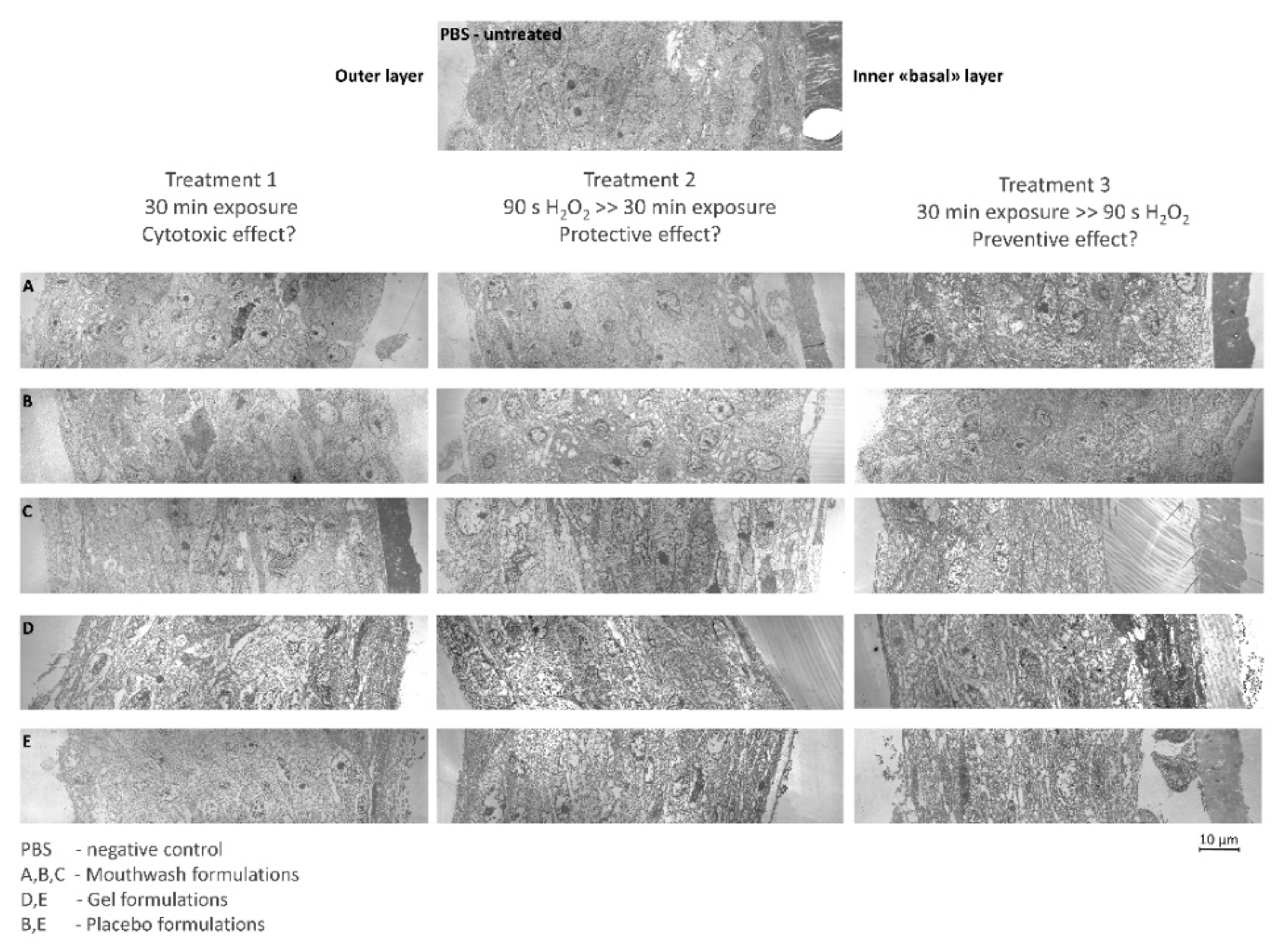 Molecules 26 02976 g006