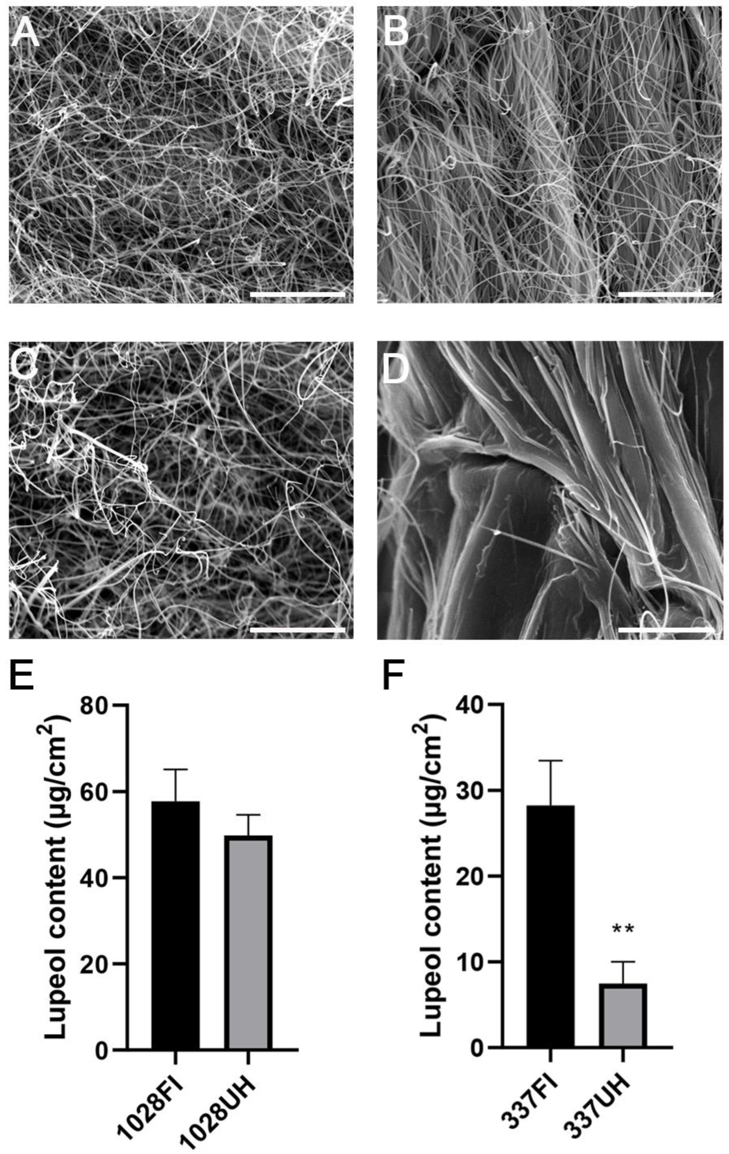 Molecules 26 02978 g001