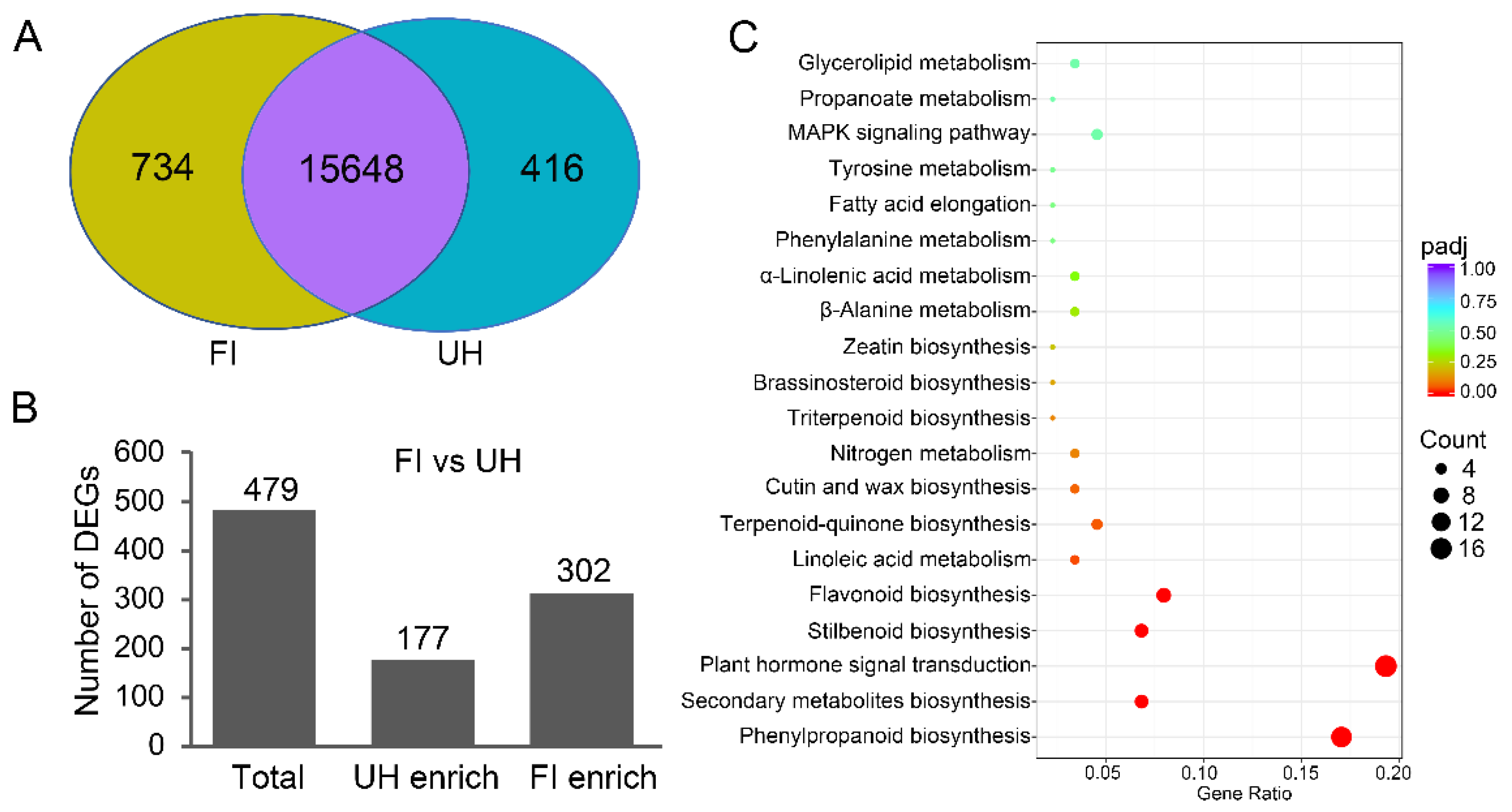 Molecules 26 02978 g002