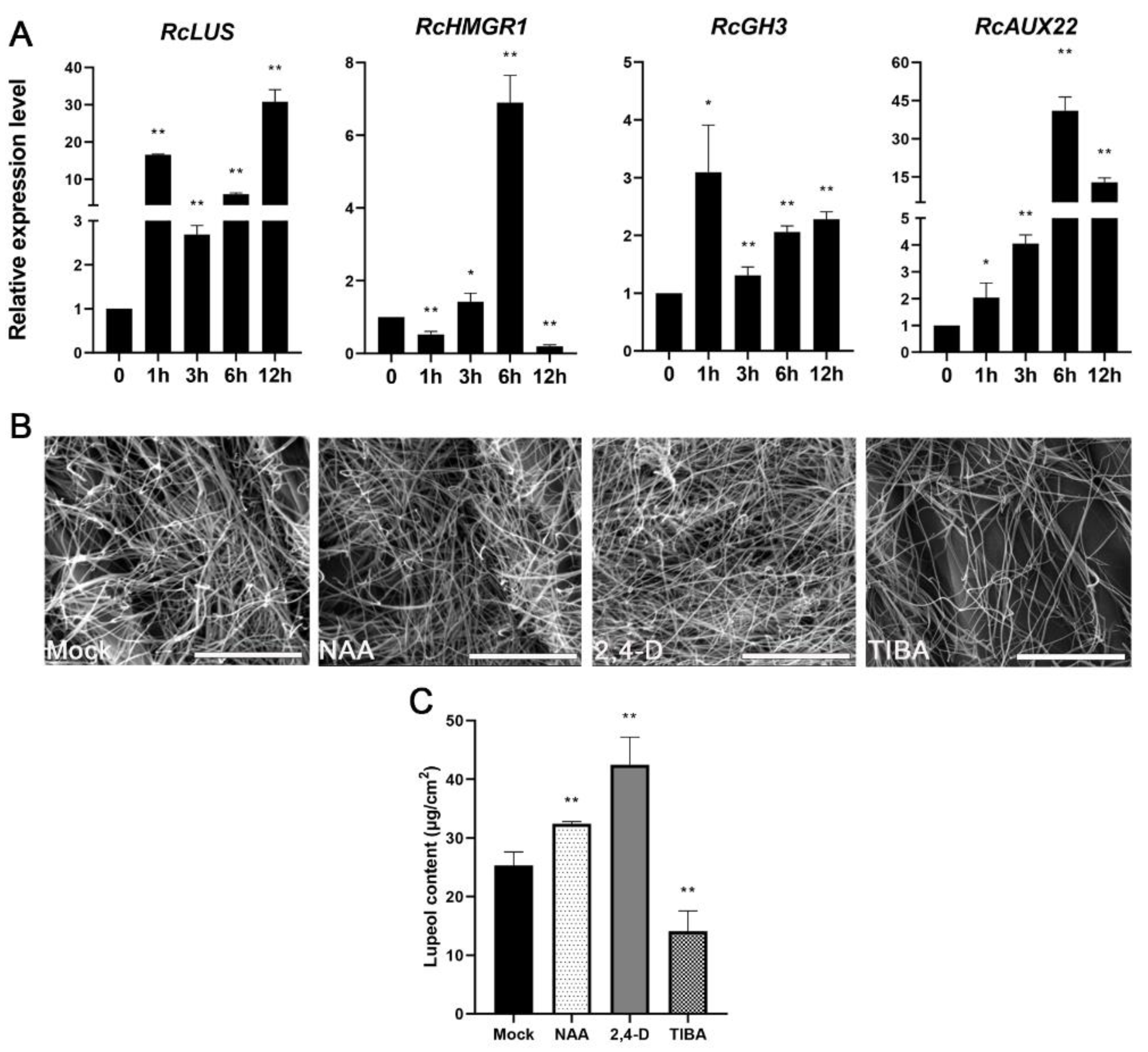 Molecules 26 02978 g003