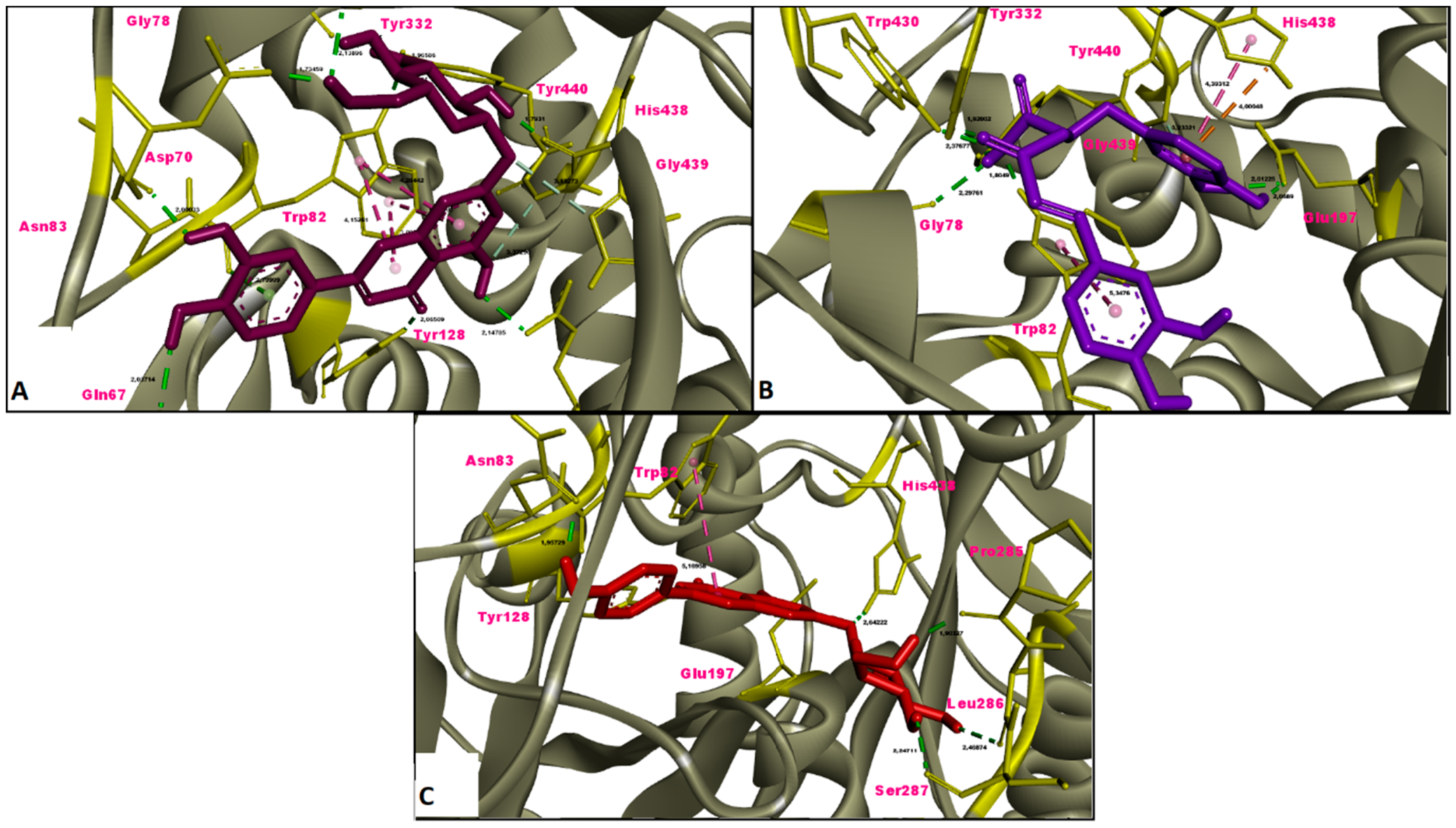 Molecules 26 02981 g006 Molecules 26 02981 g006