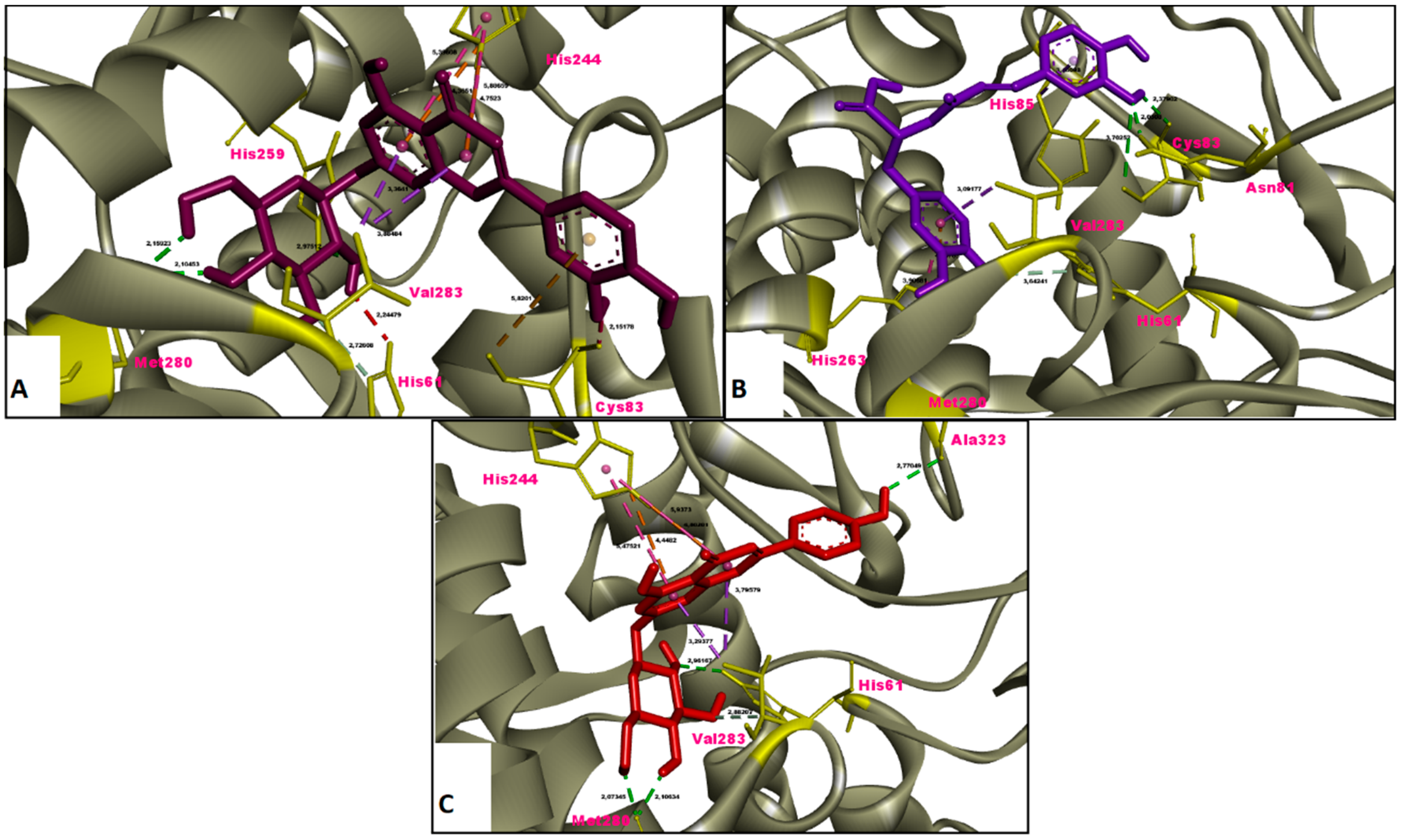 Molecules 26 02981 g007 Molecules 26 02981 g007