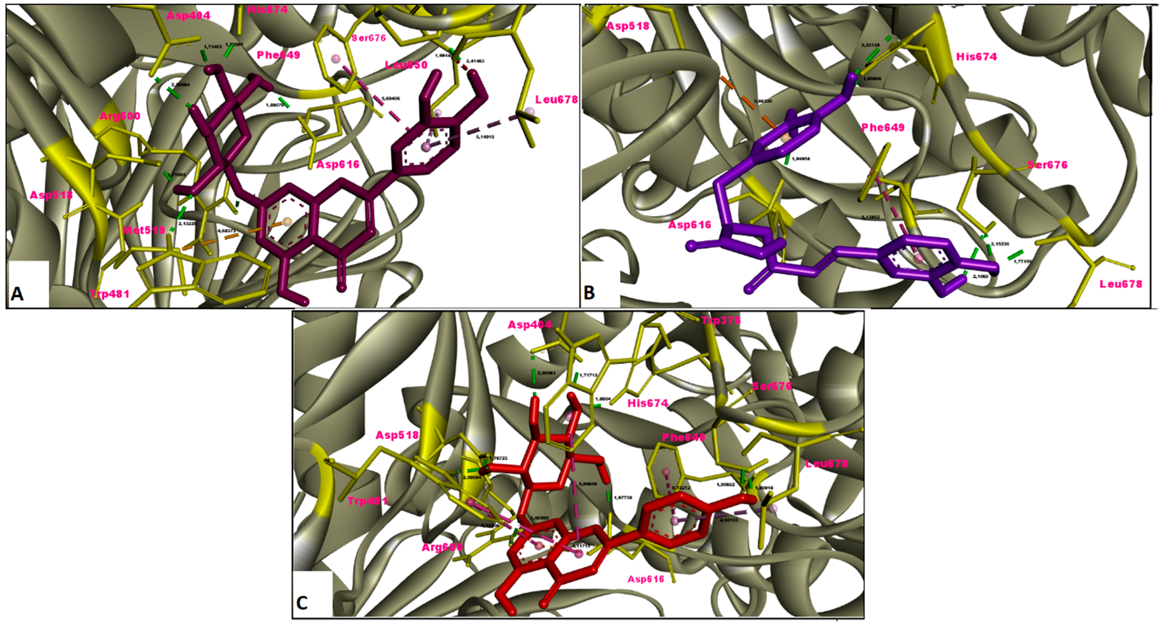 Molecules 26 02981 g009 Molecules 26 02981 g009
