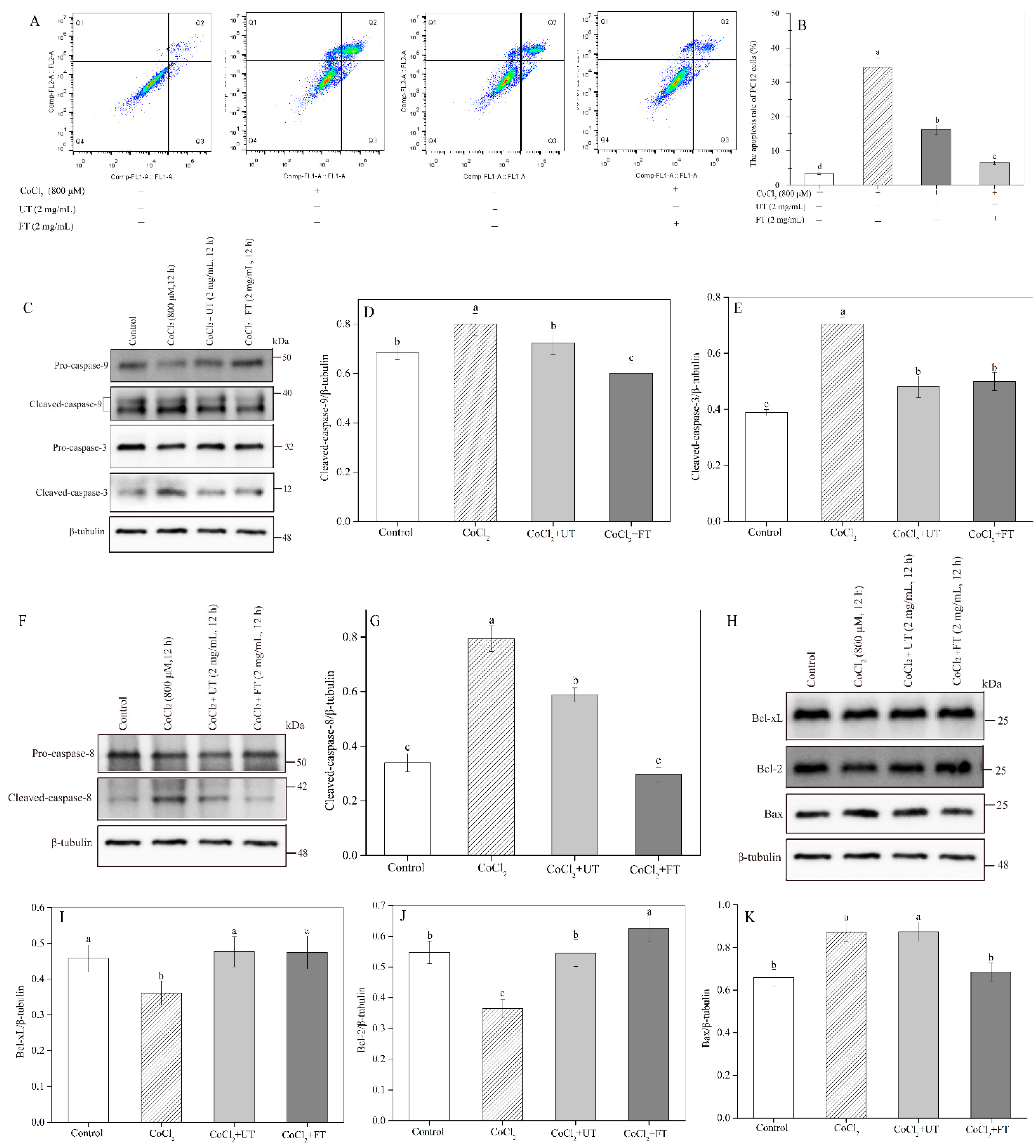 Molecules 26 02983 g005