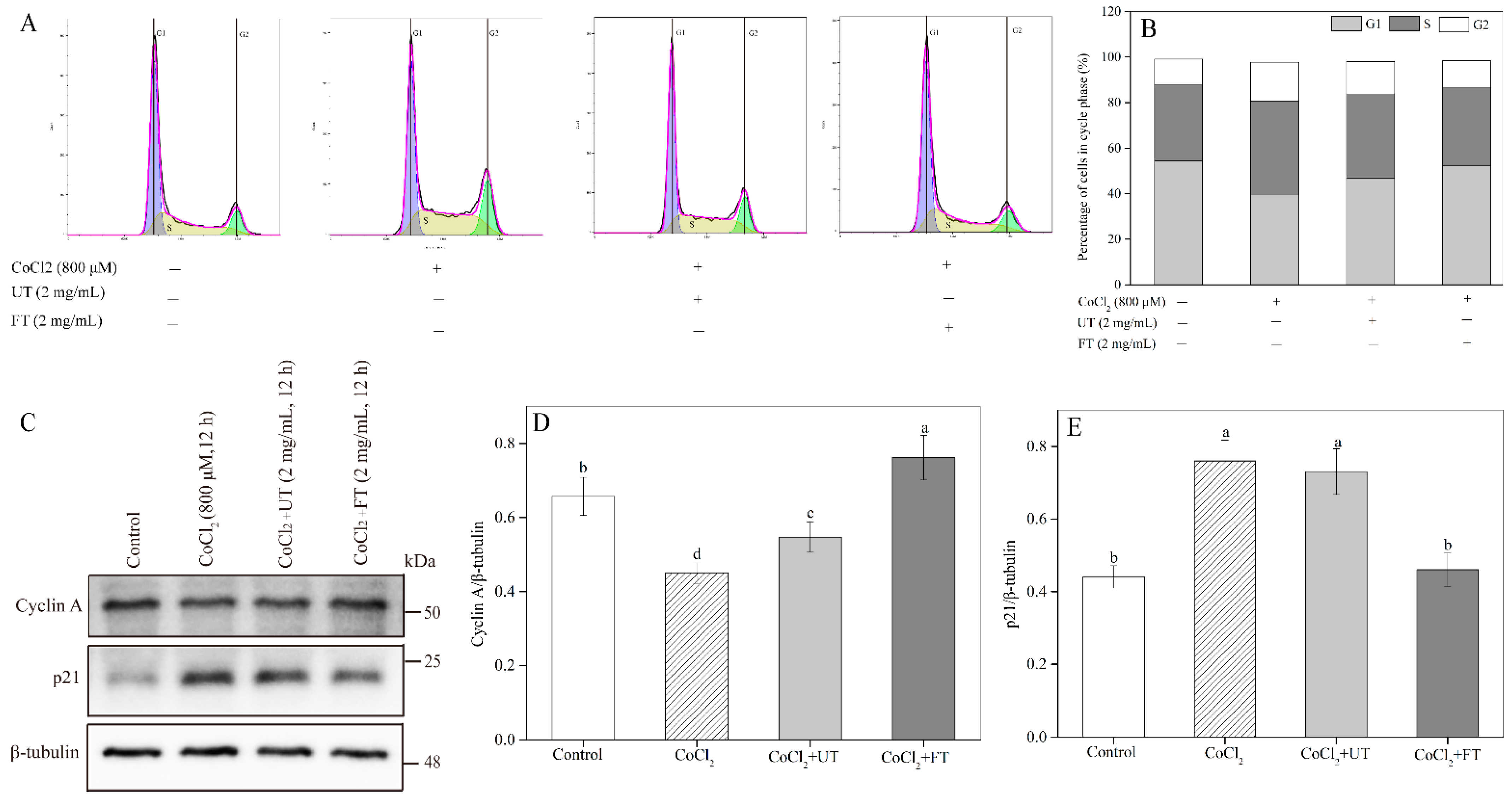 Molecules 26 02983 g006