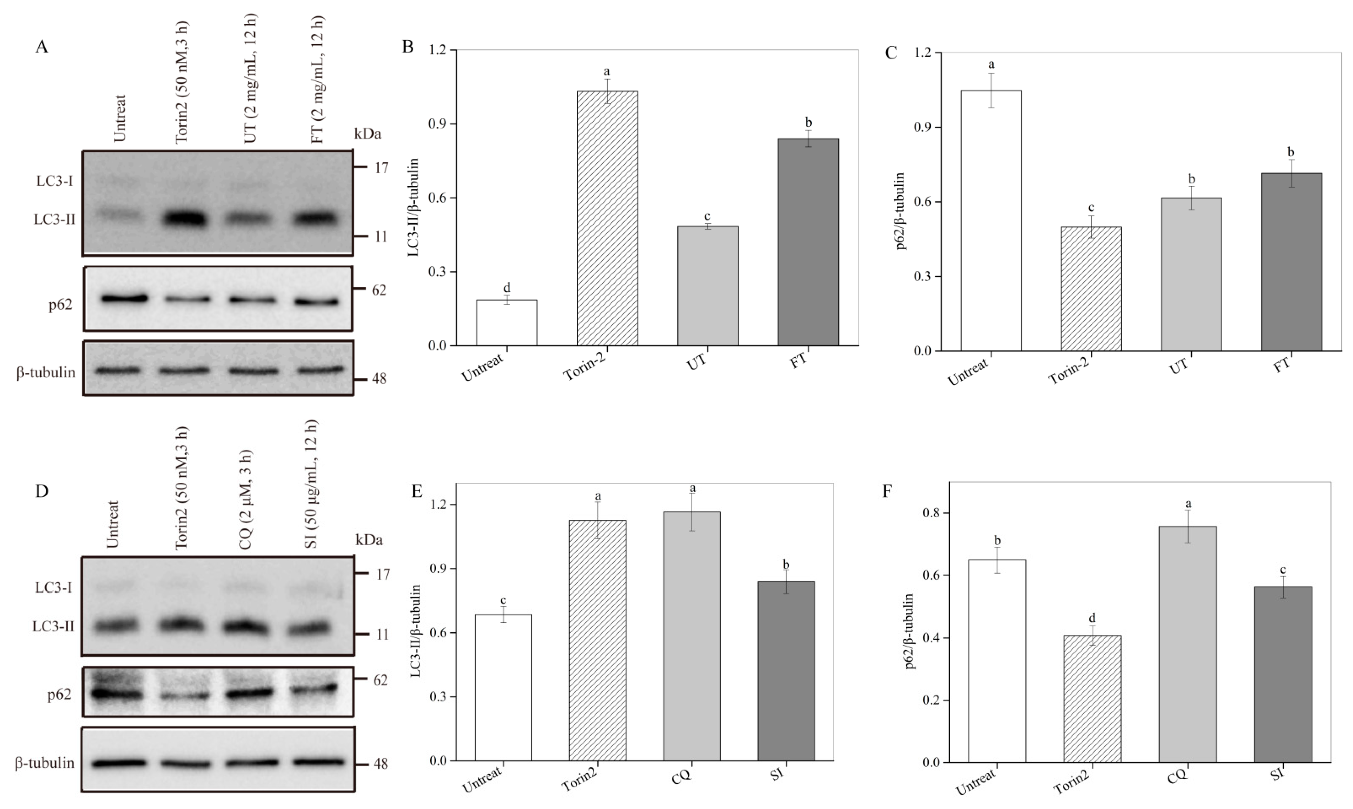 Molecules 26 02983 g007