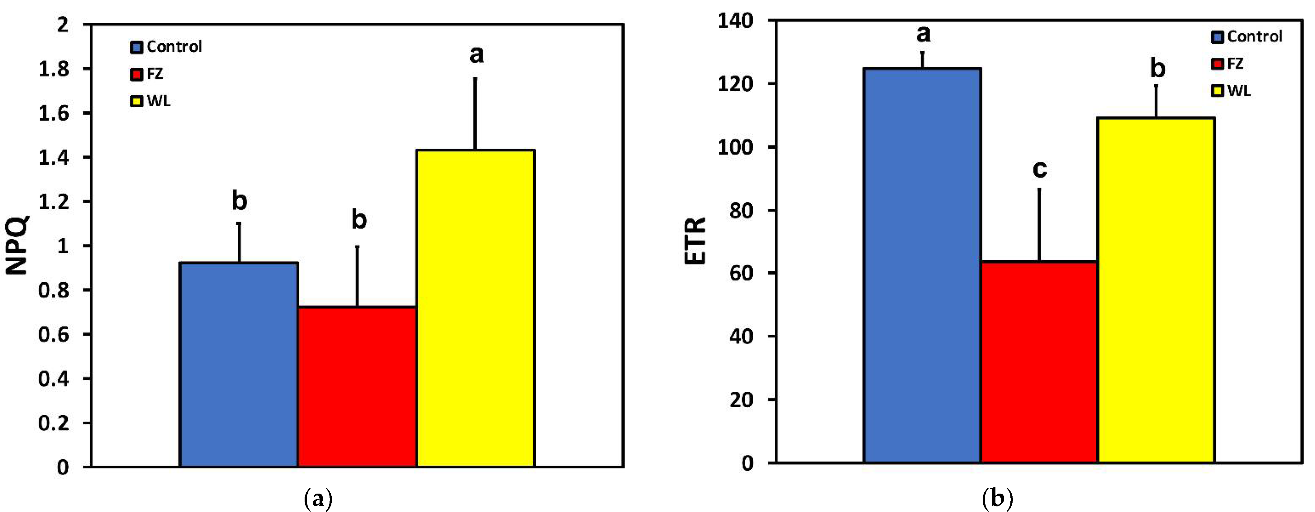 Molecules 26 02984 g003