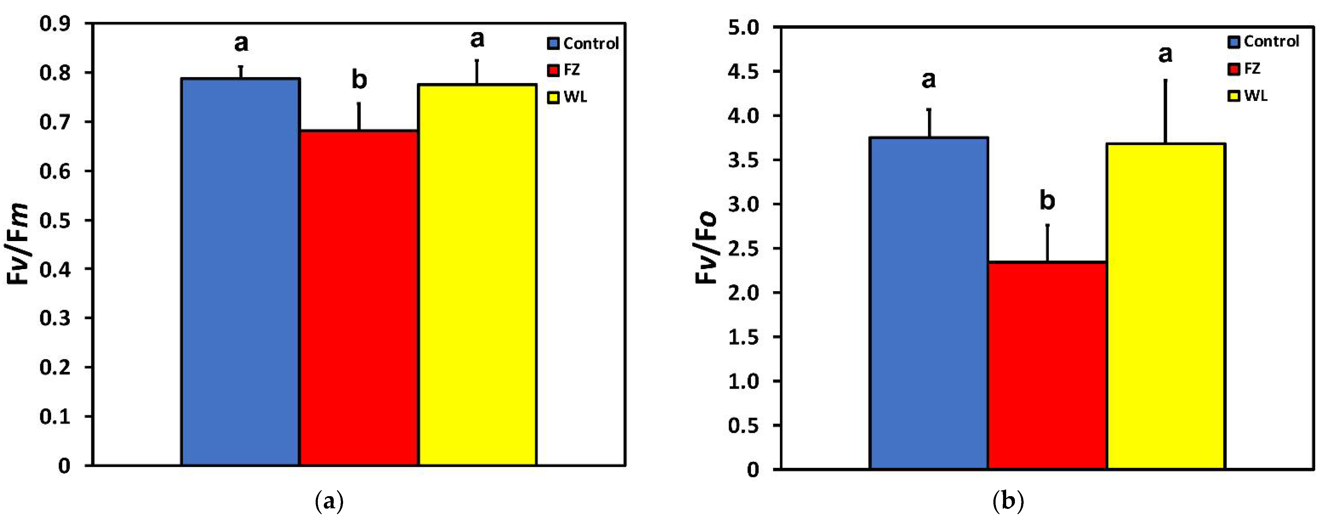 Molecules 26 02984 g004