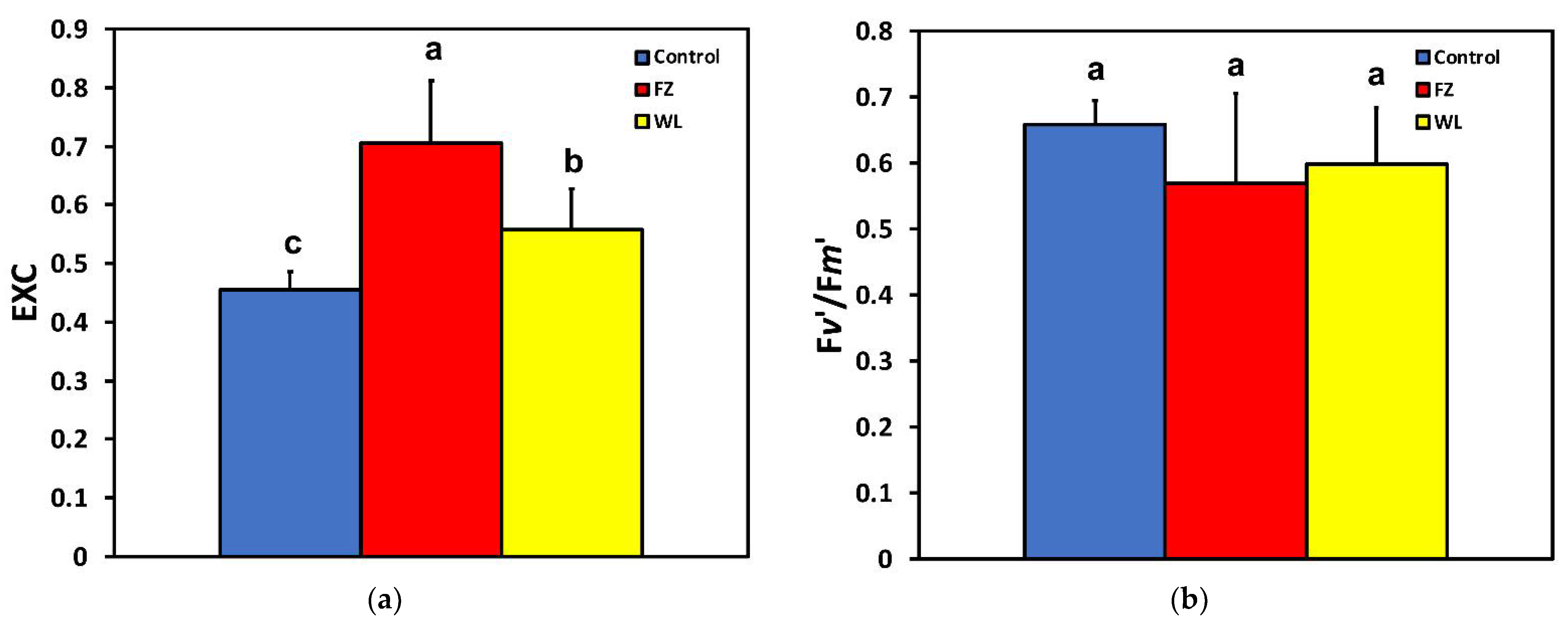 Molecules 26 02984 g005