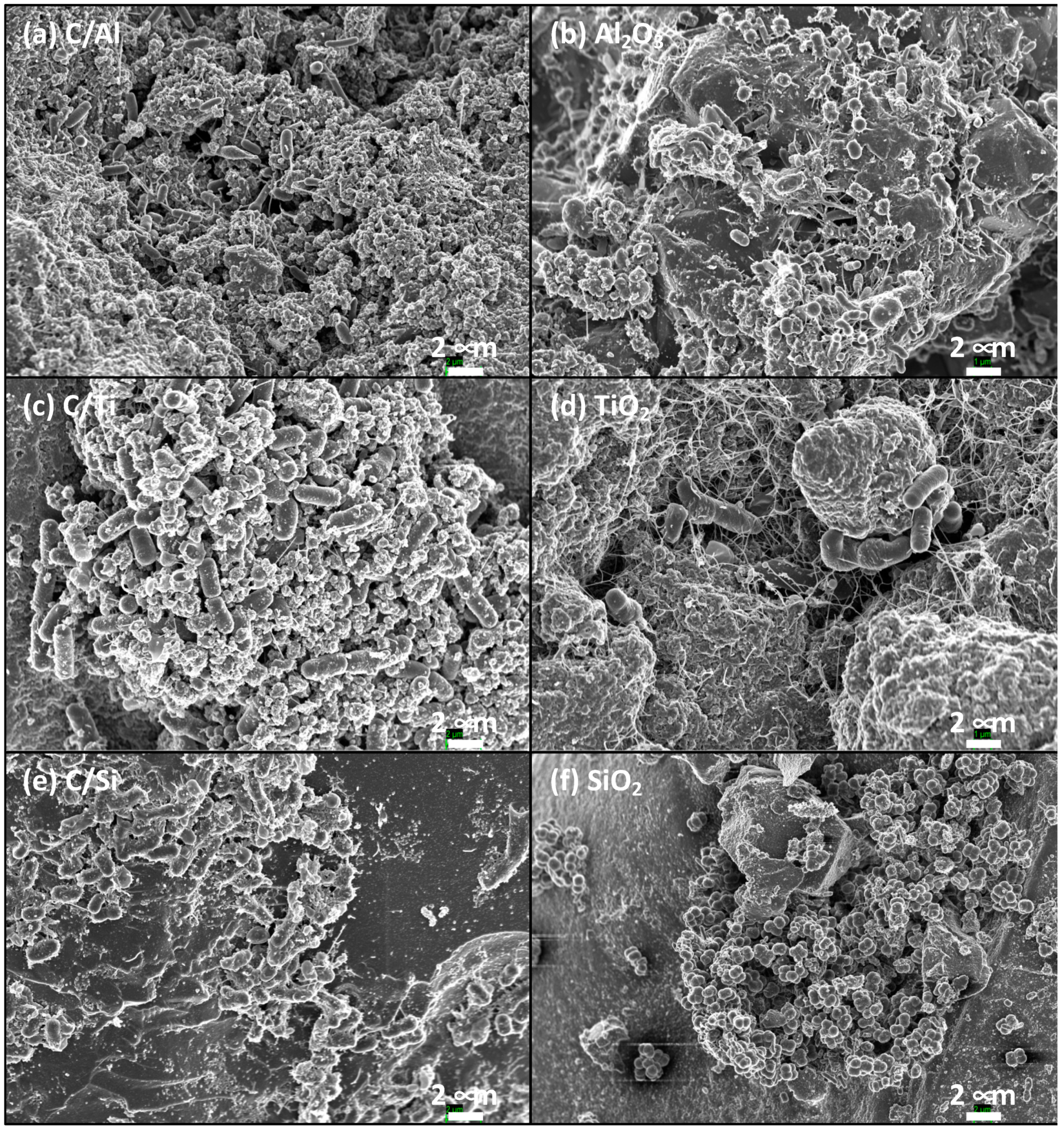 Molecules 26 02987 g003