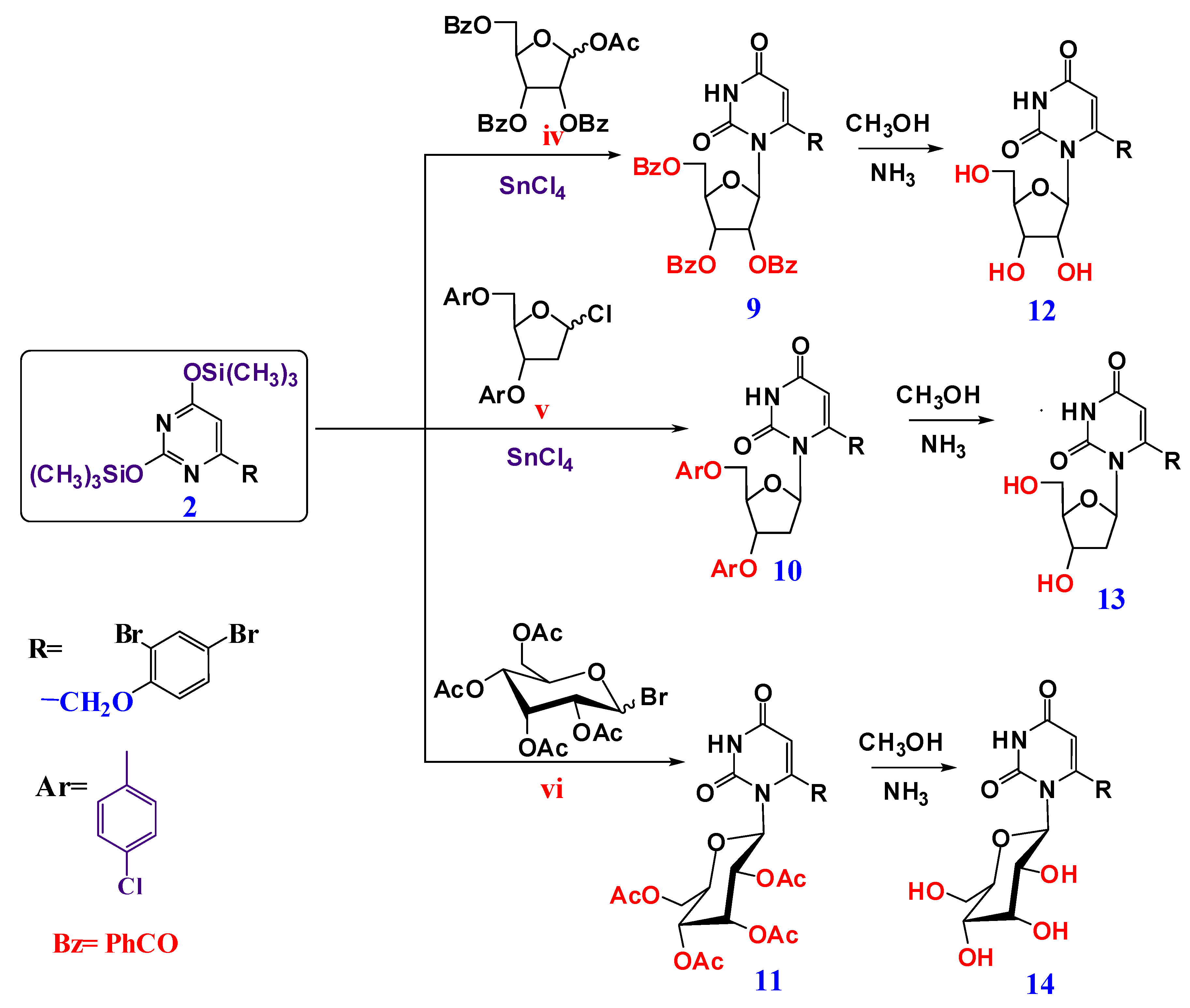 Molecules 26 02988 sch002
