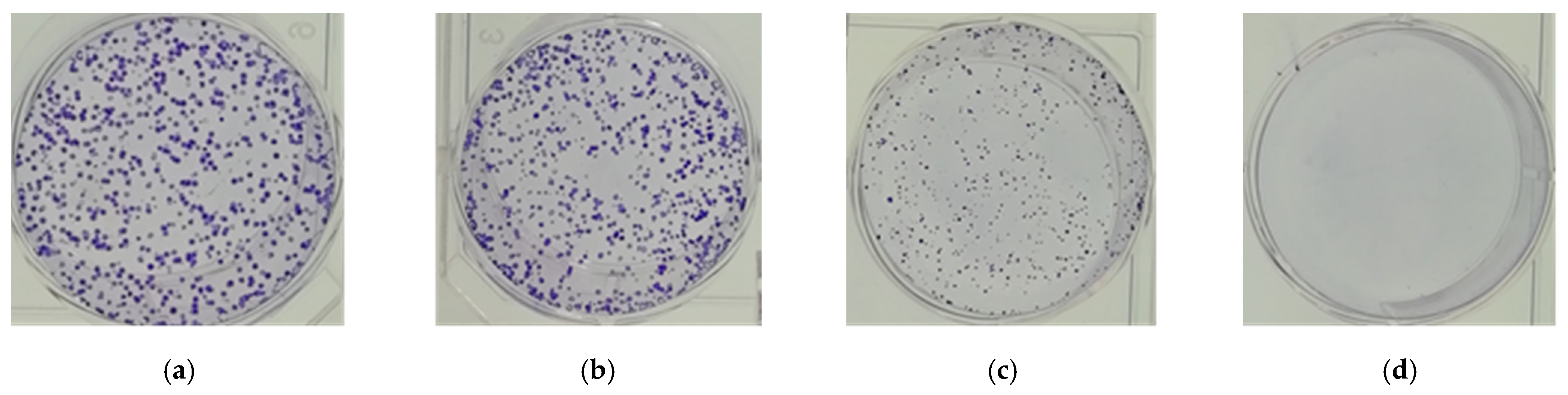 Molecules 26 02990 g002