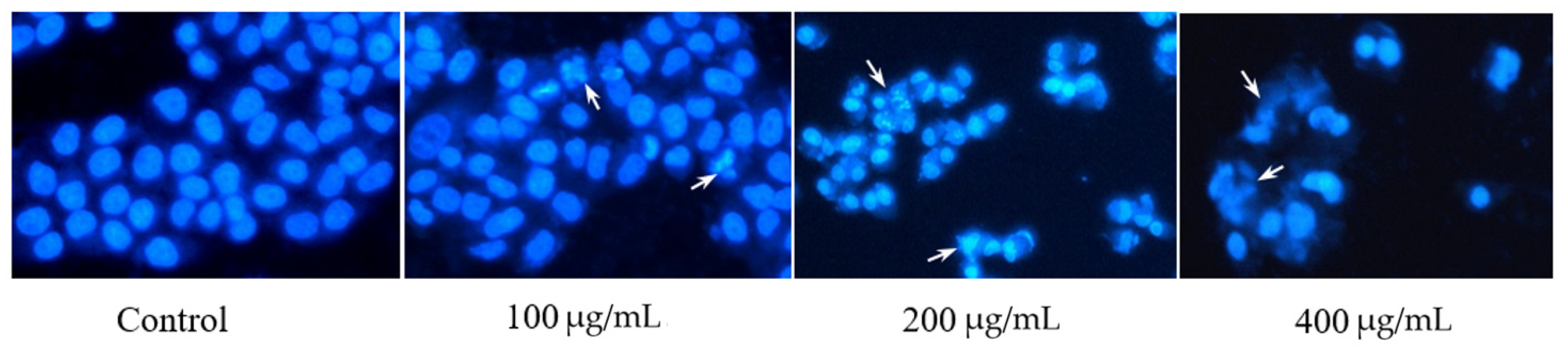 Molecules 26 02990 g005