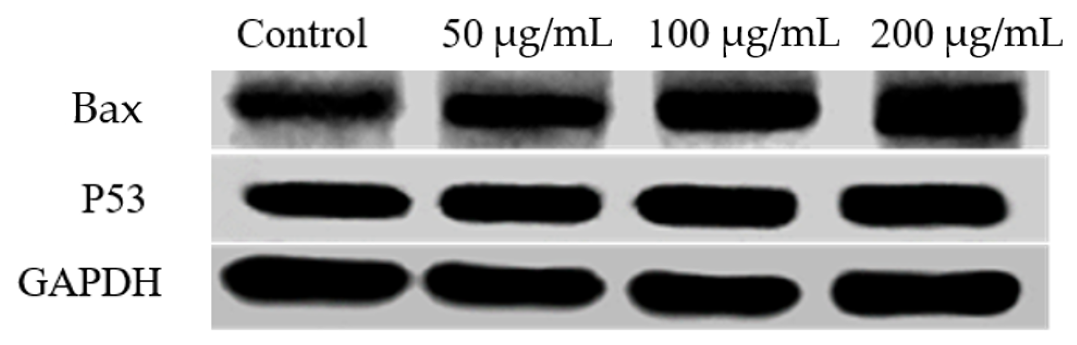 Molecules 26 02990 g009