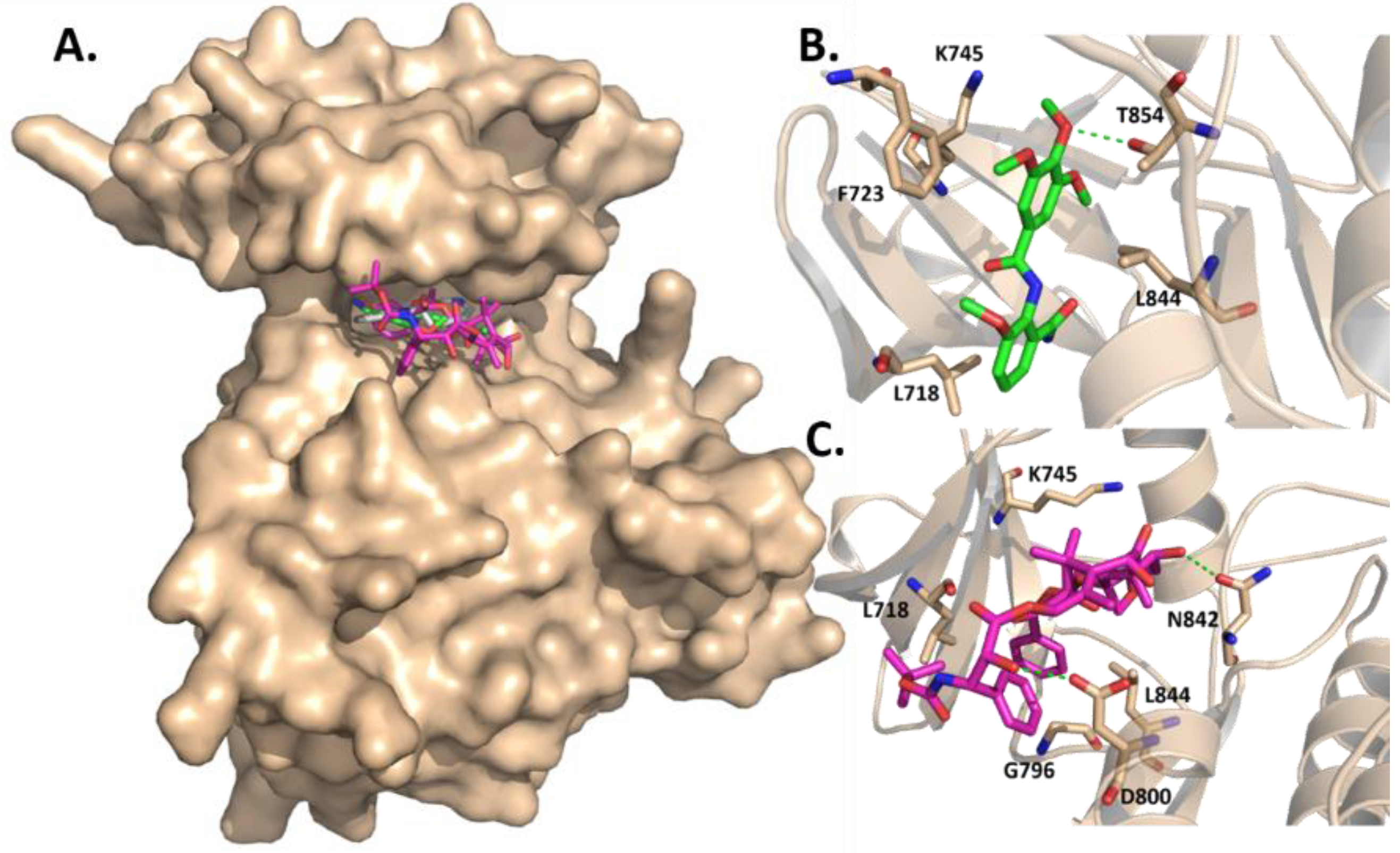 Molecules 26 02992 g004 Molecules 26 02992 g004