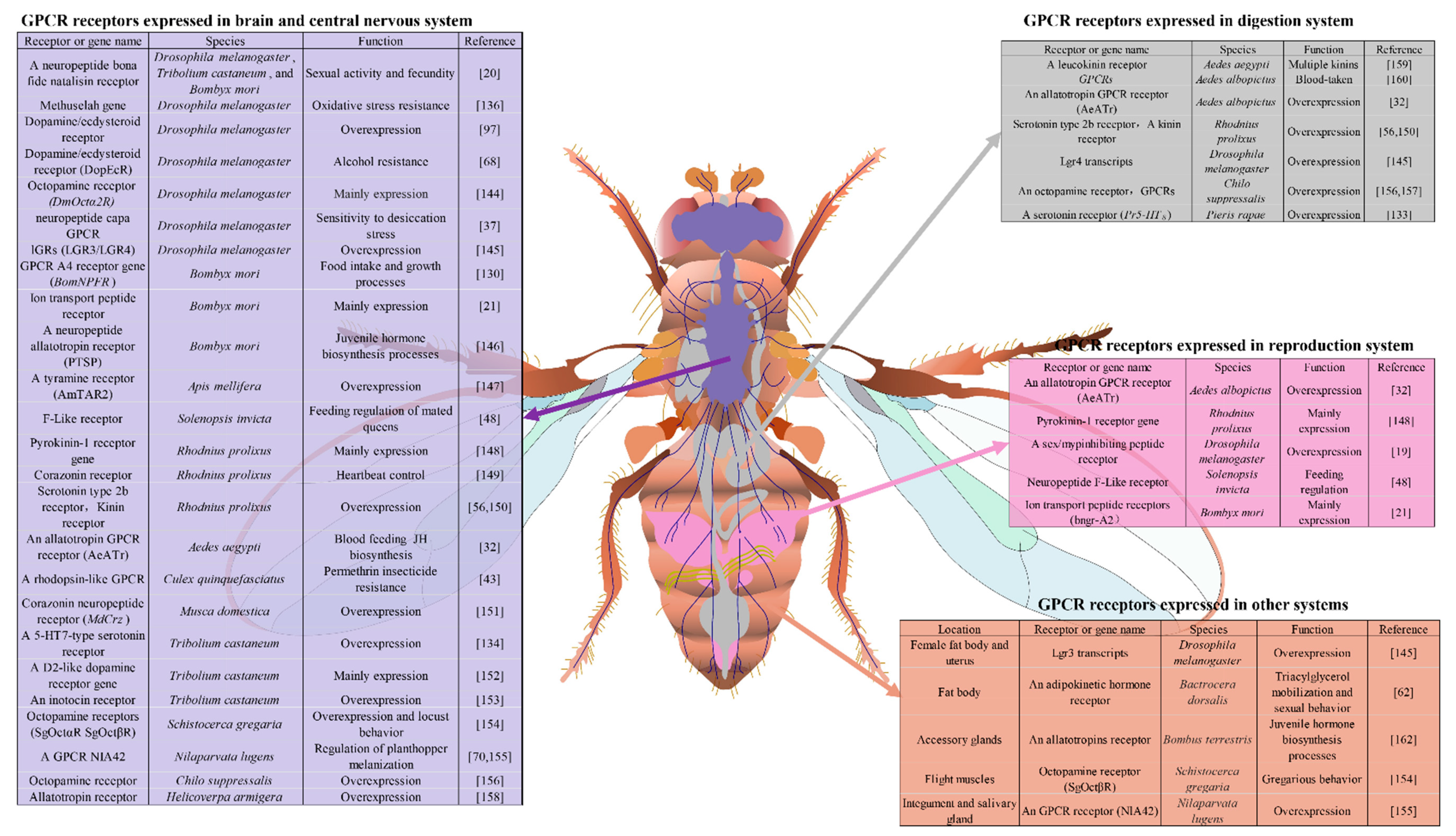 Molecules 26 02993 g002