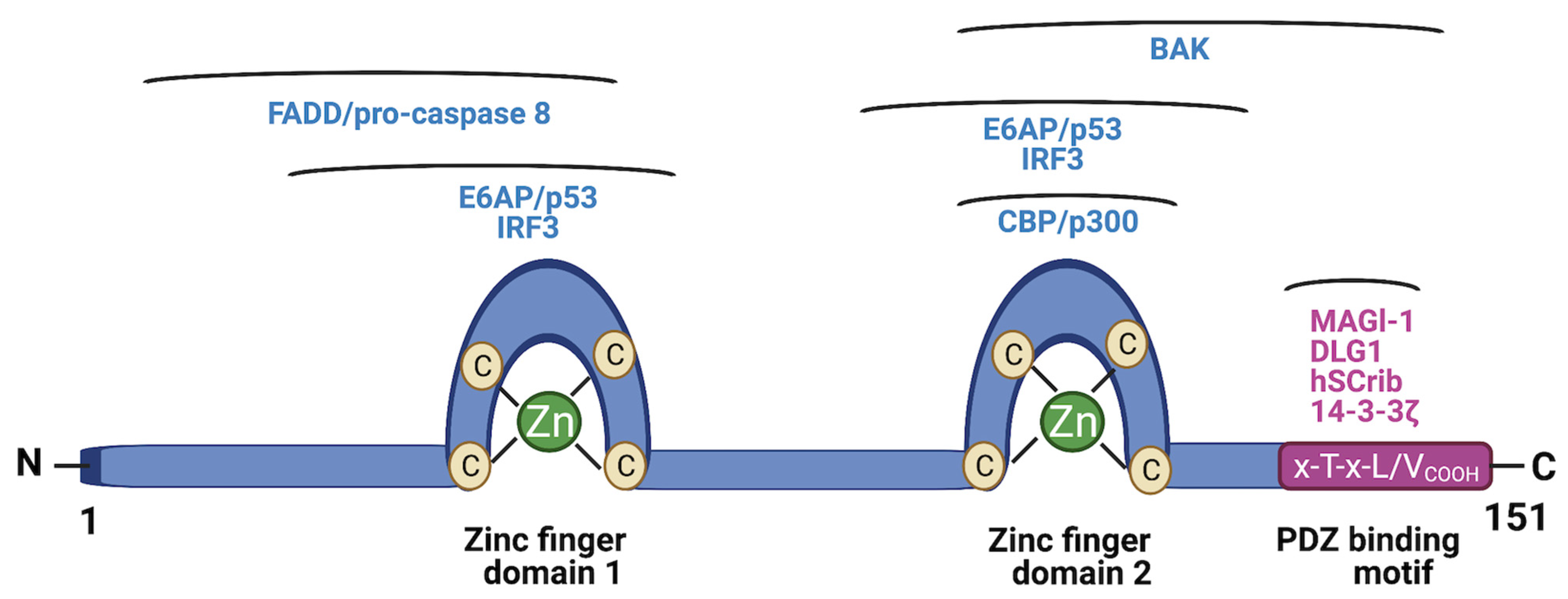 Molecules 26 03004 g001