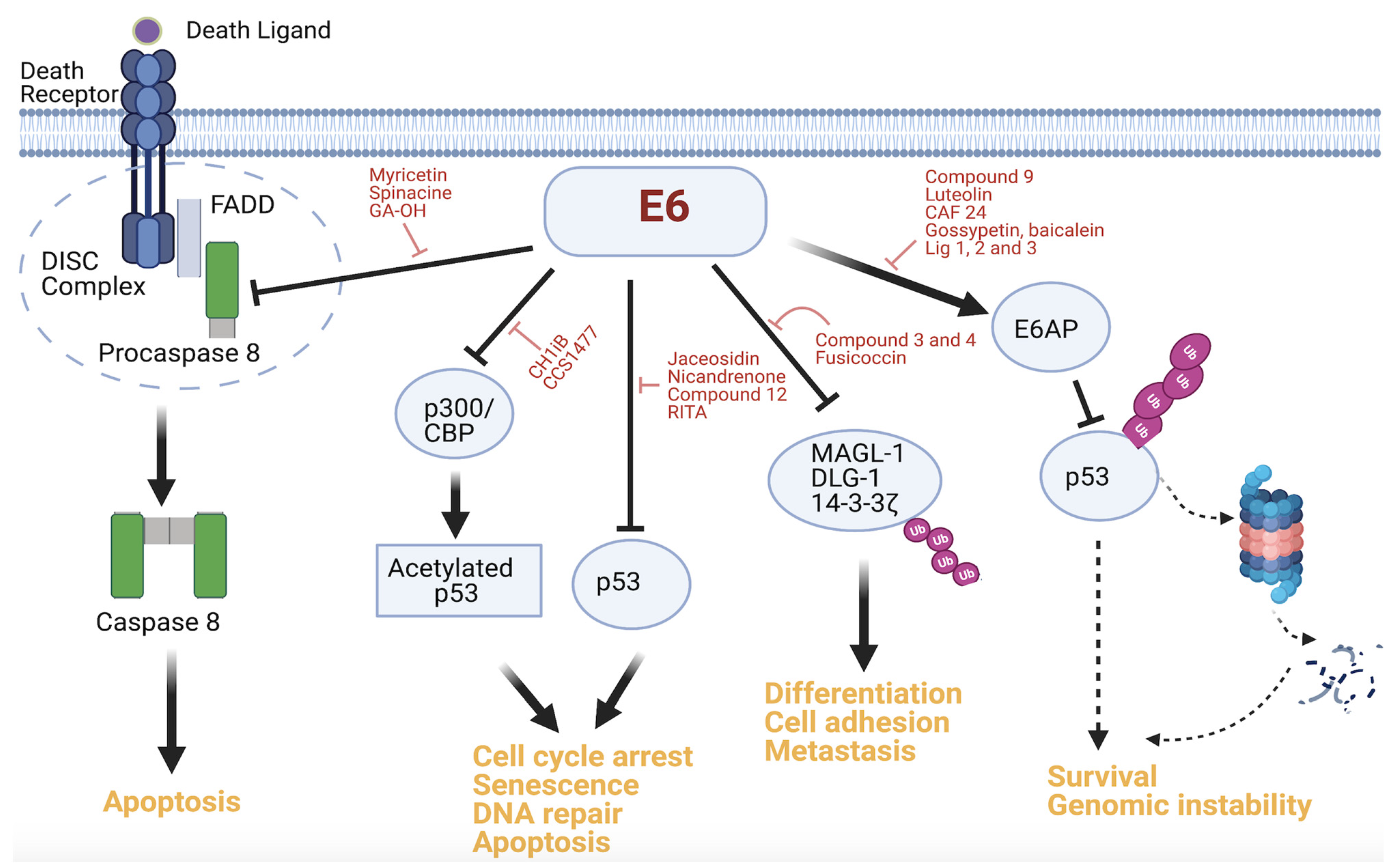 Molecules 26 03004 g002