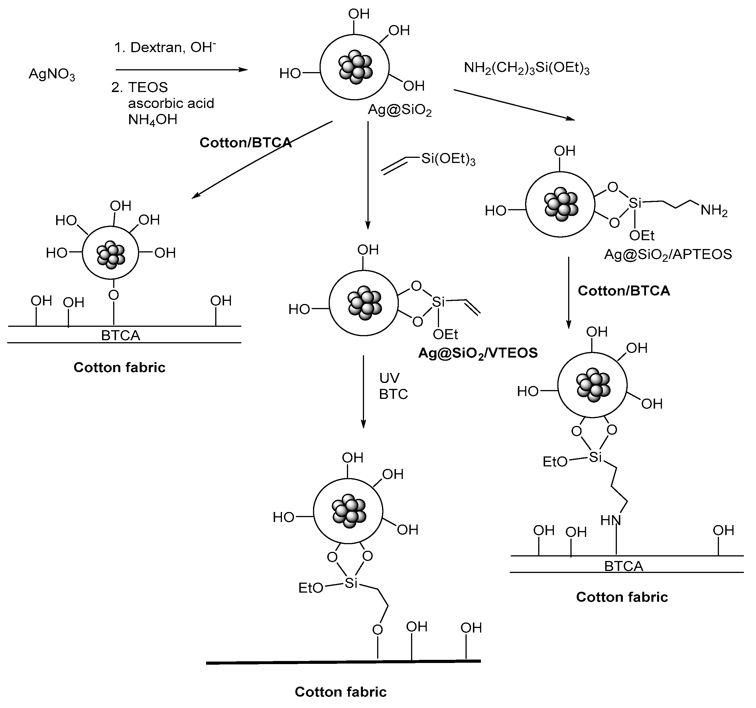 Molecules 26 03008 sch001 Molecules 26 03008 sch001