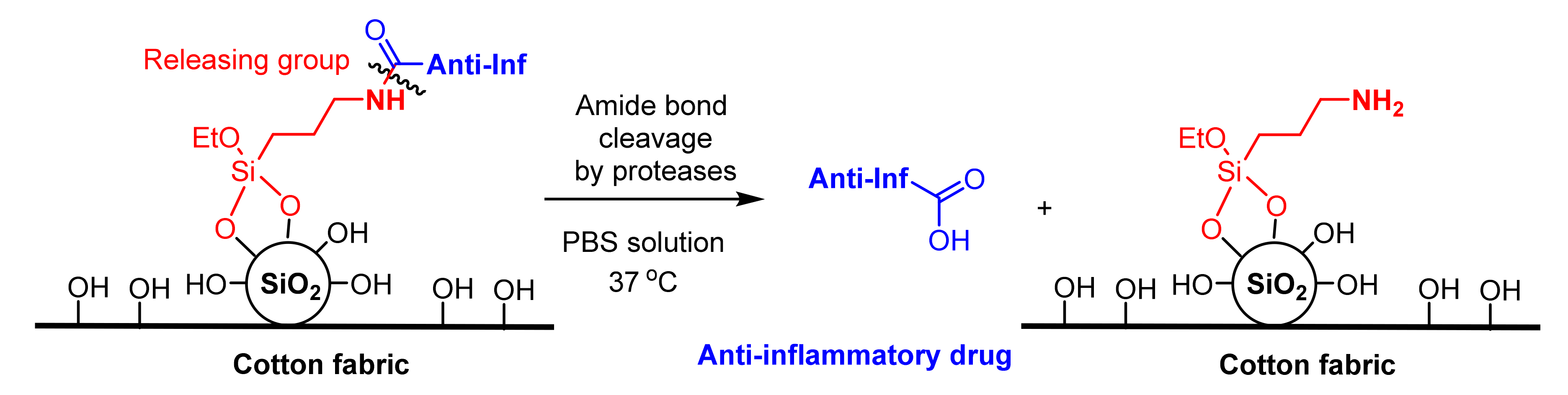 Molecules 26 03008 sch007 Molecules 26 03008 sch007