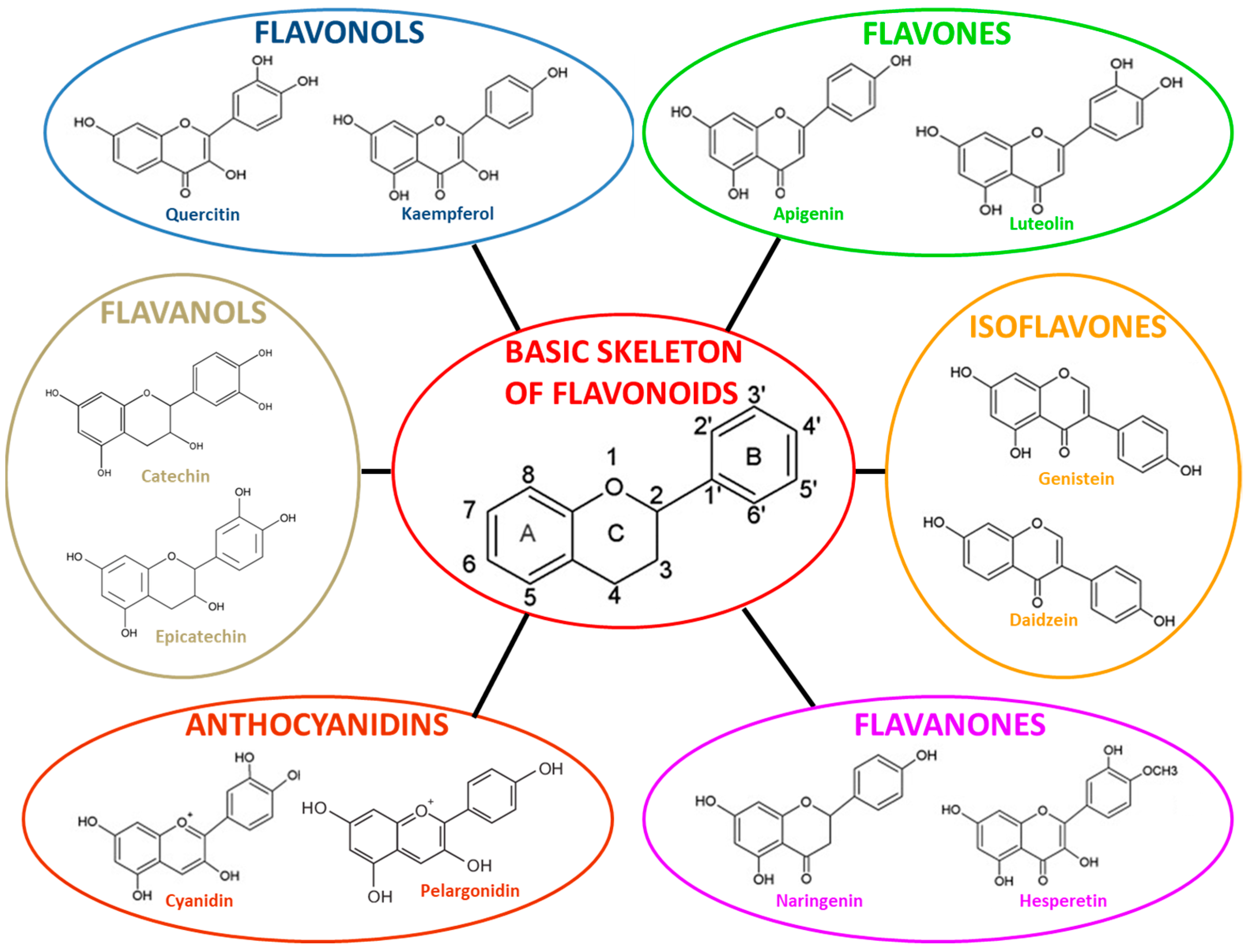Molecules 26 03014 g004