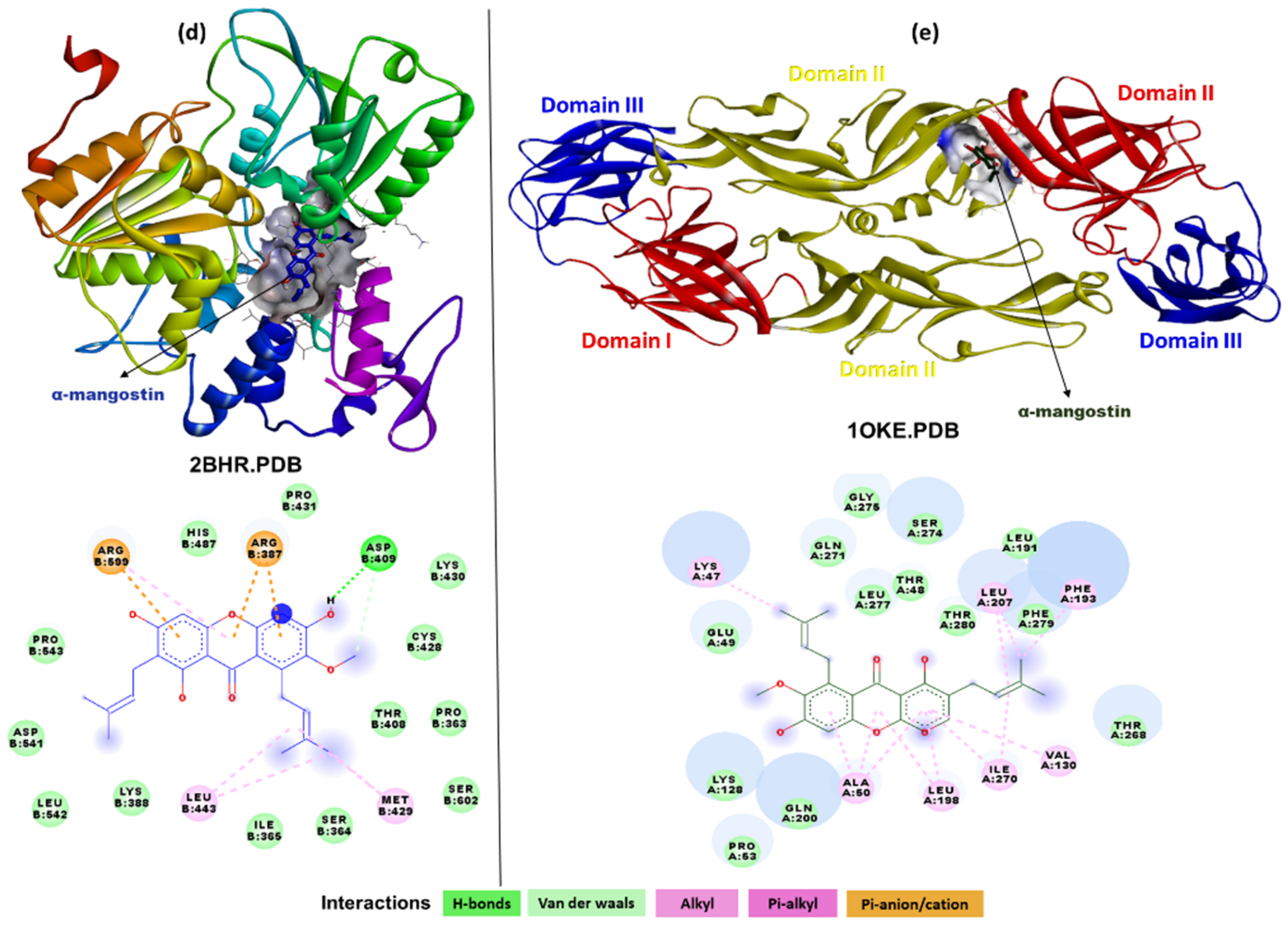 Molecules 26 03016 g004b Molecules 26 03016 g004b