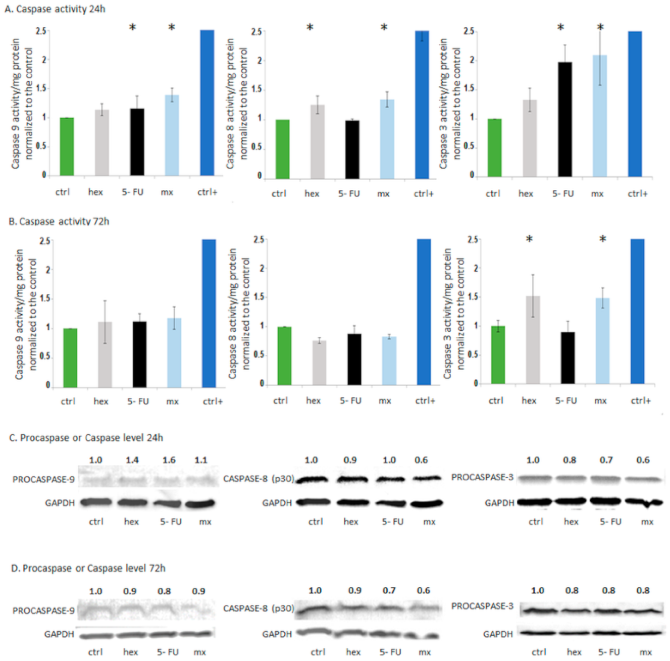 Molecules 26 03019 g004 Molecules 26 03019 g004