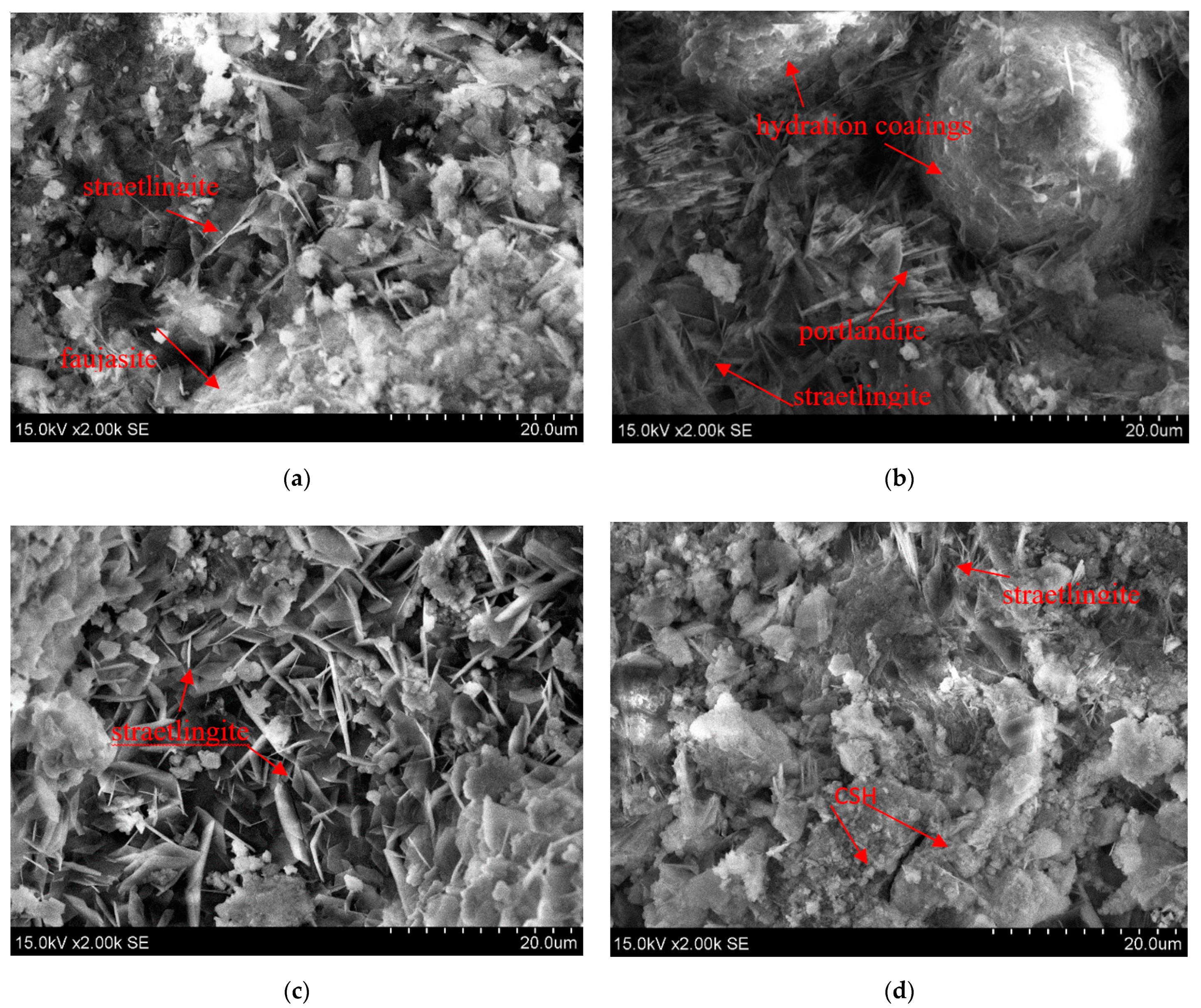 Molecules 26 03020 g002