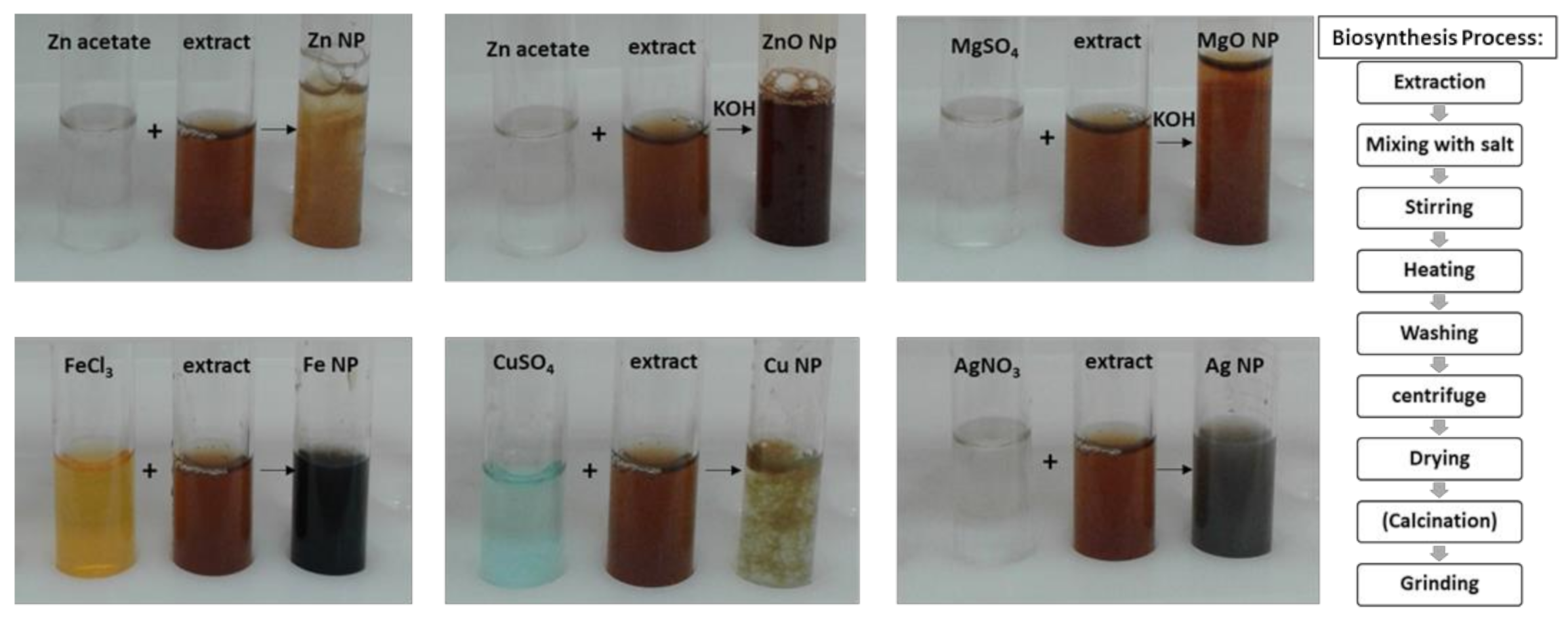 Molecules 26 03025 g001