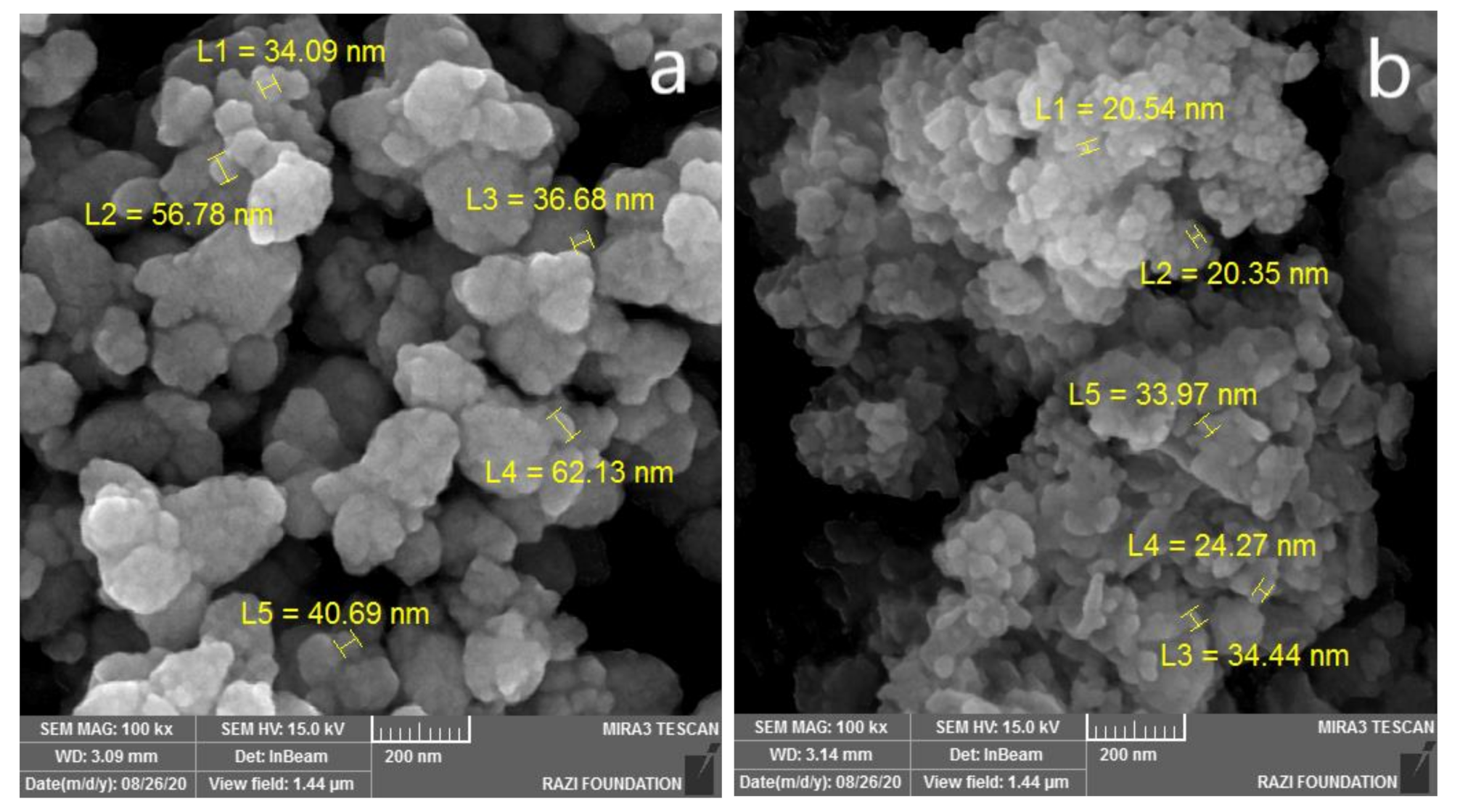 Molecules 26 03025 g003a