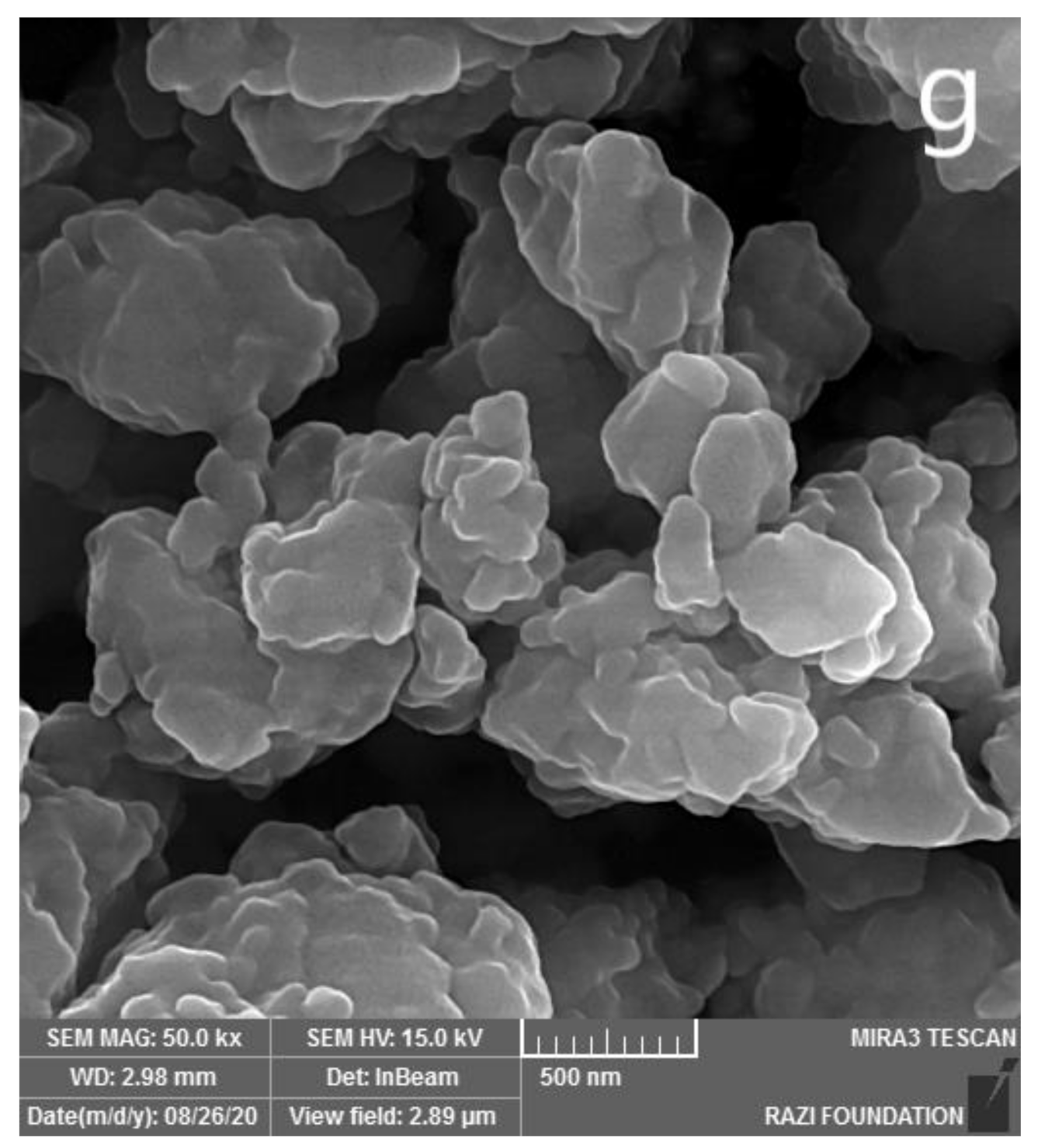 Molecules 26 03025 g003c